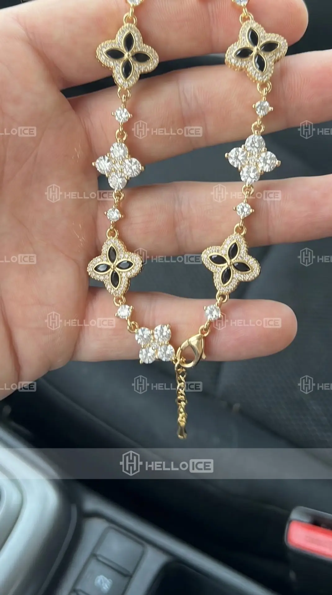 Helloice Review Image