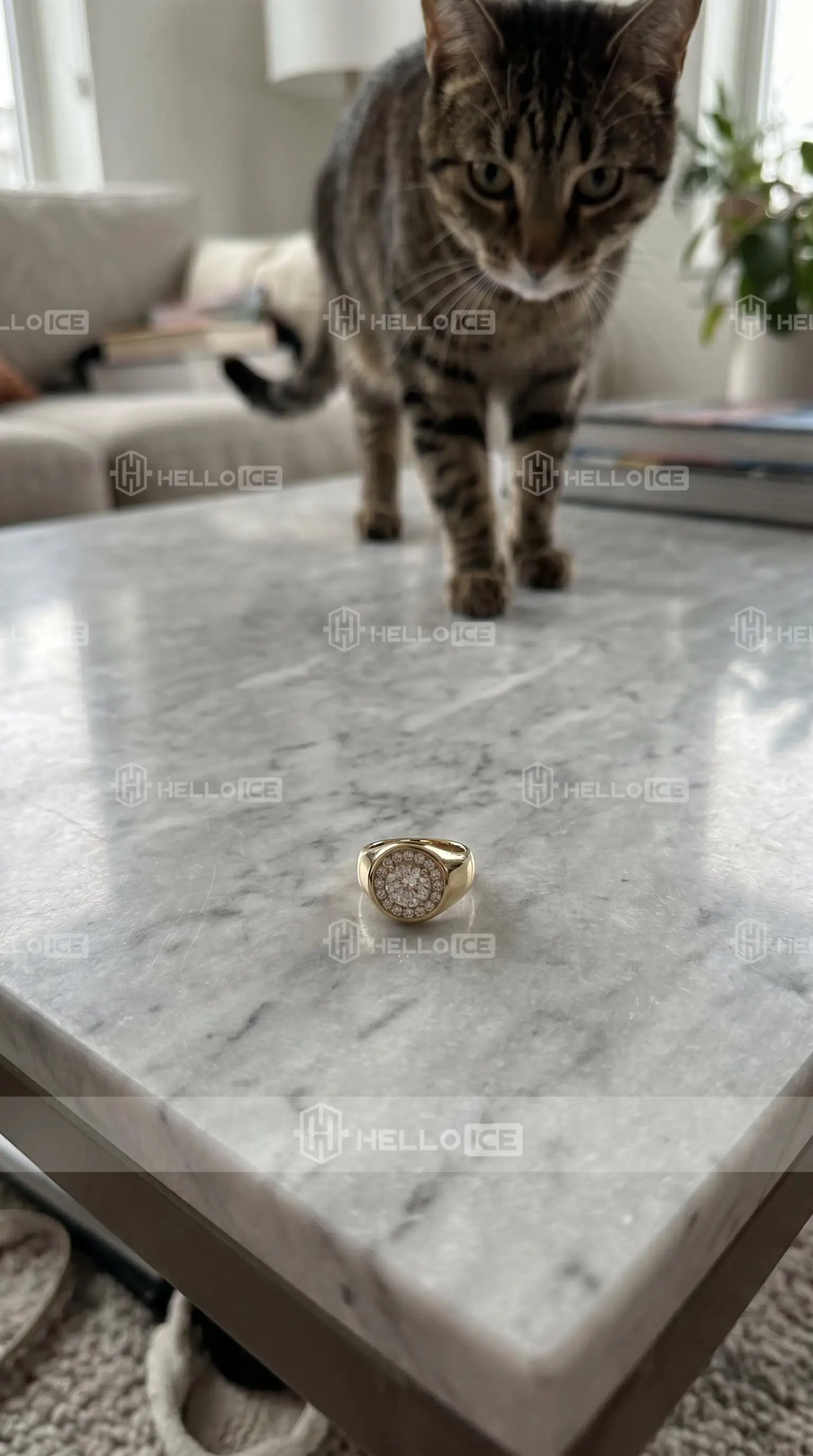 Helloice Review Image
