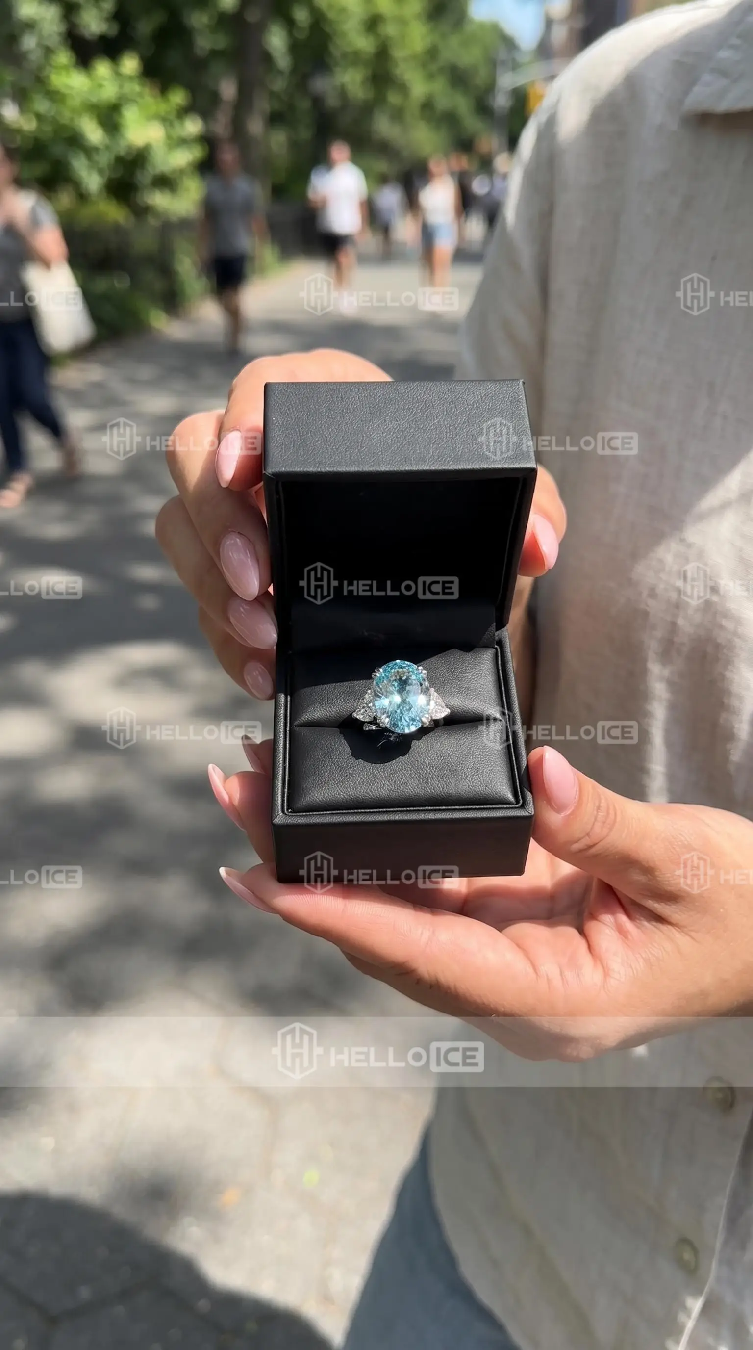 Helloice Review Image
