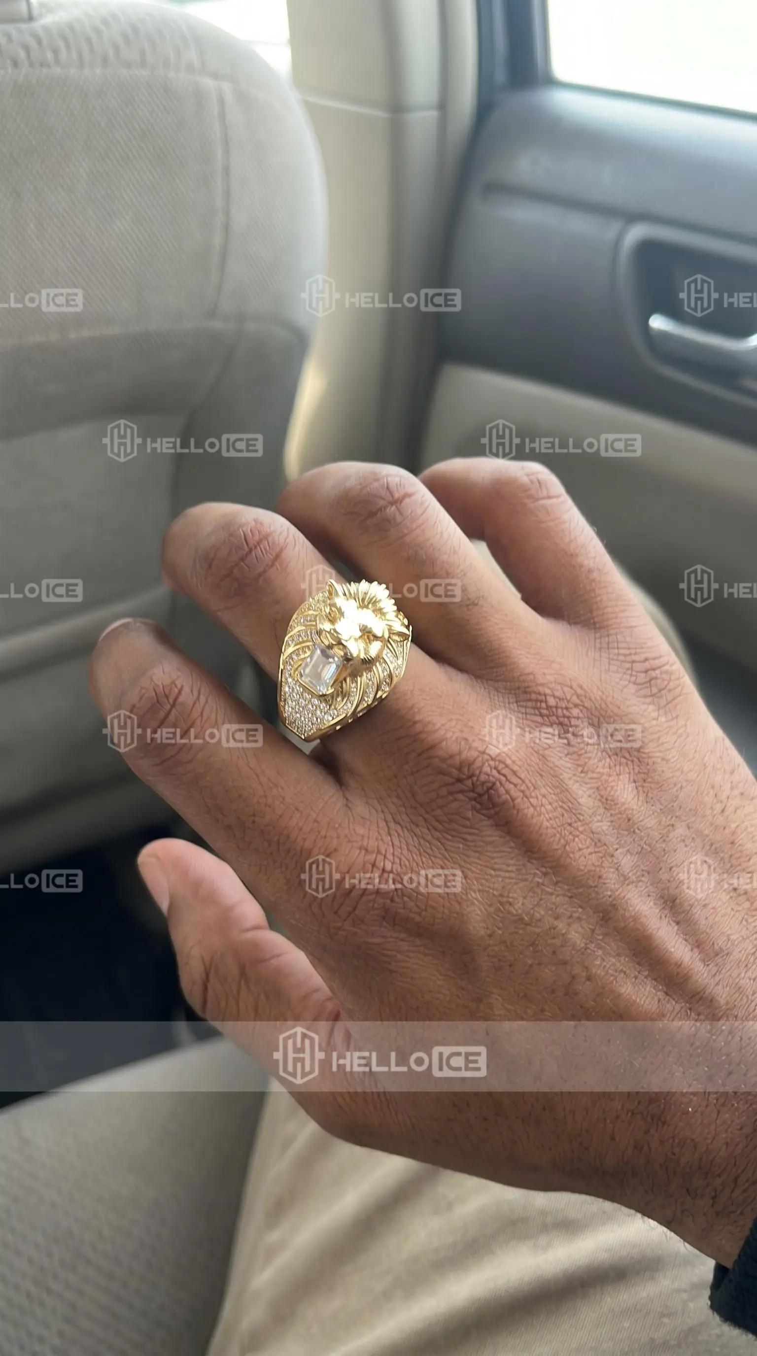 Helloice Review Image