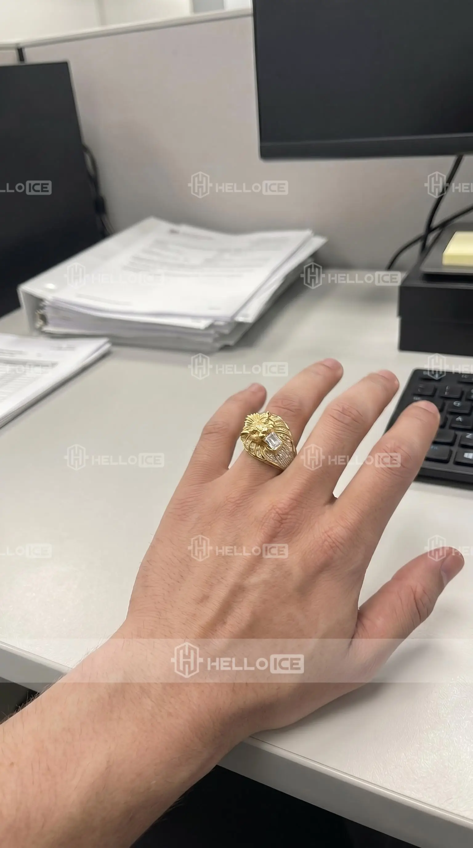 Helloice Review Image