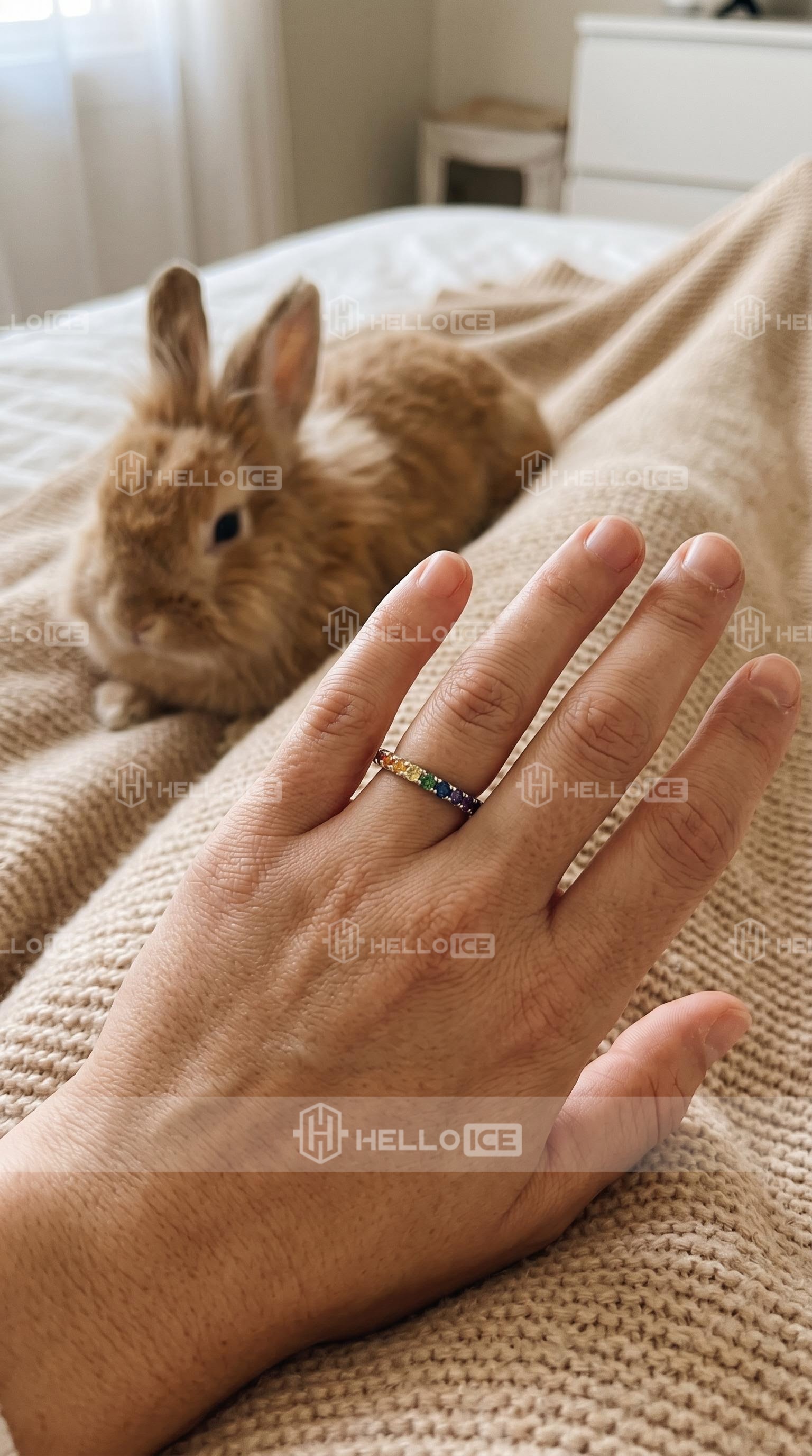 Helloice Review Image