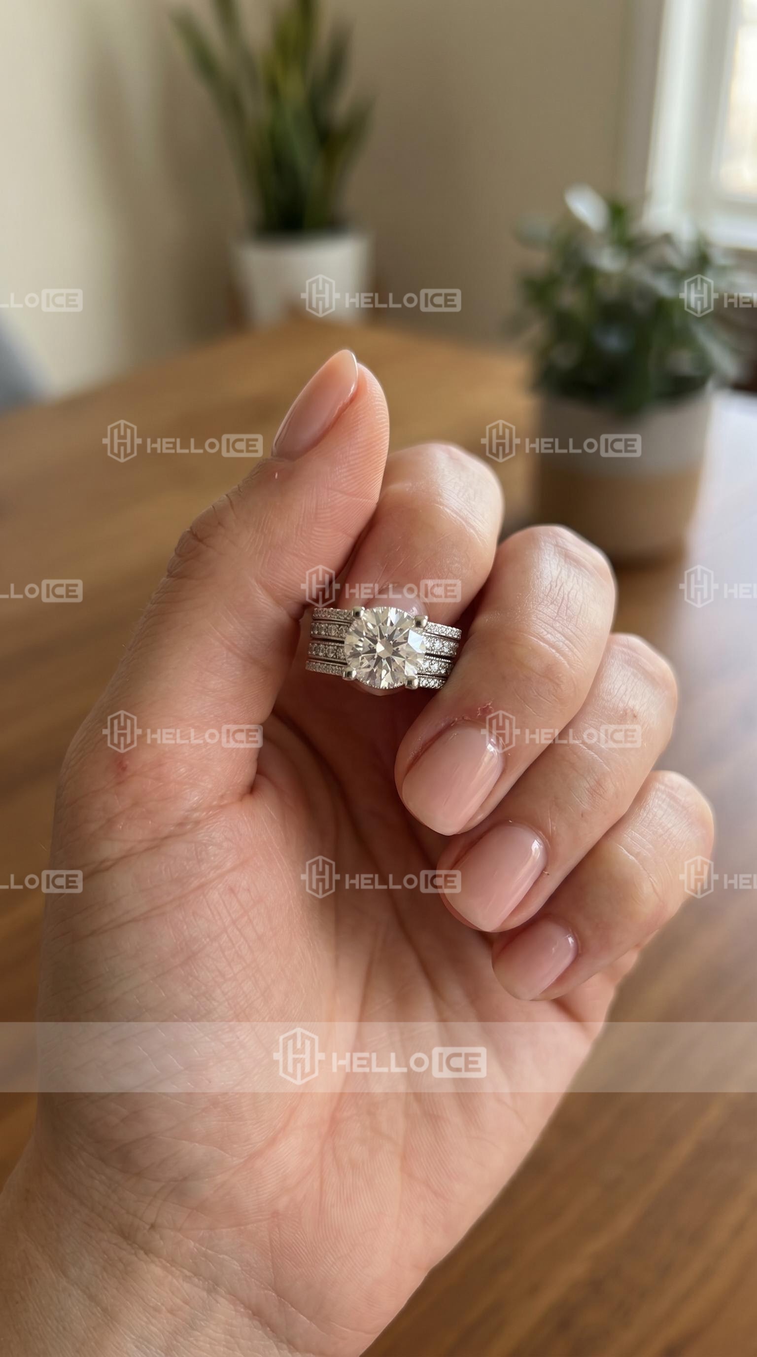 Helloice Review Image