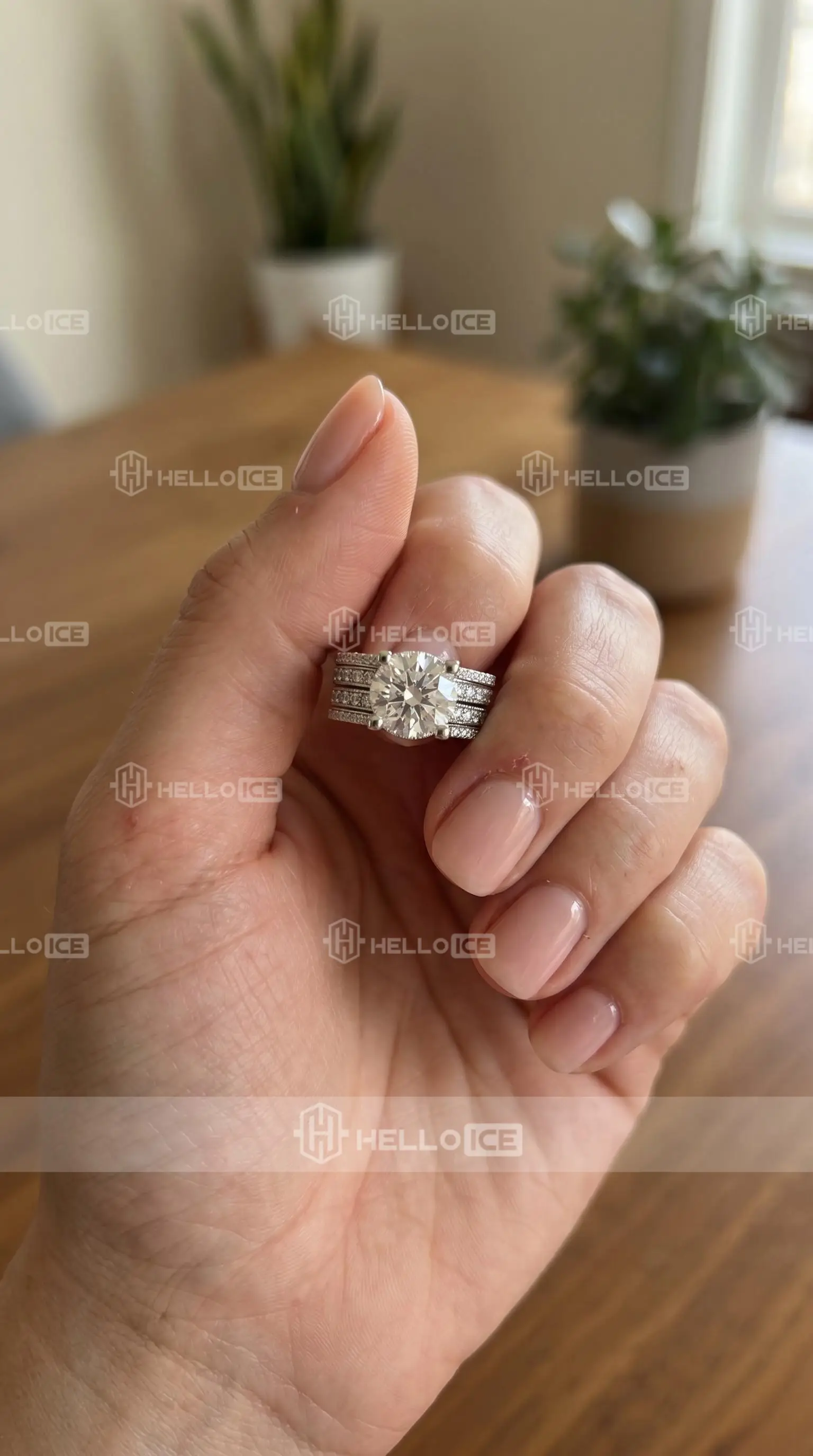 Helloice Review Image