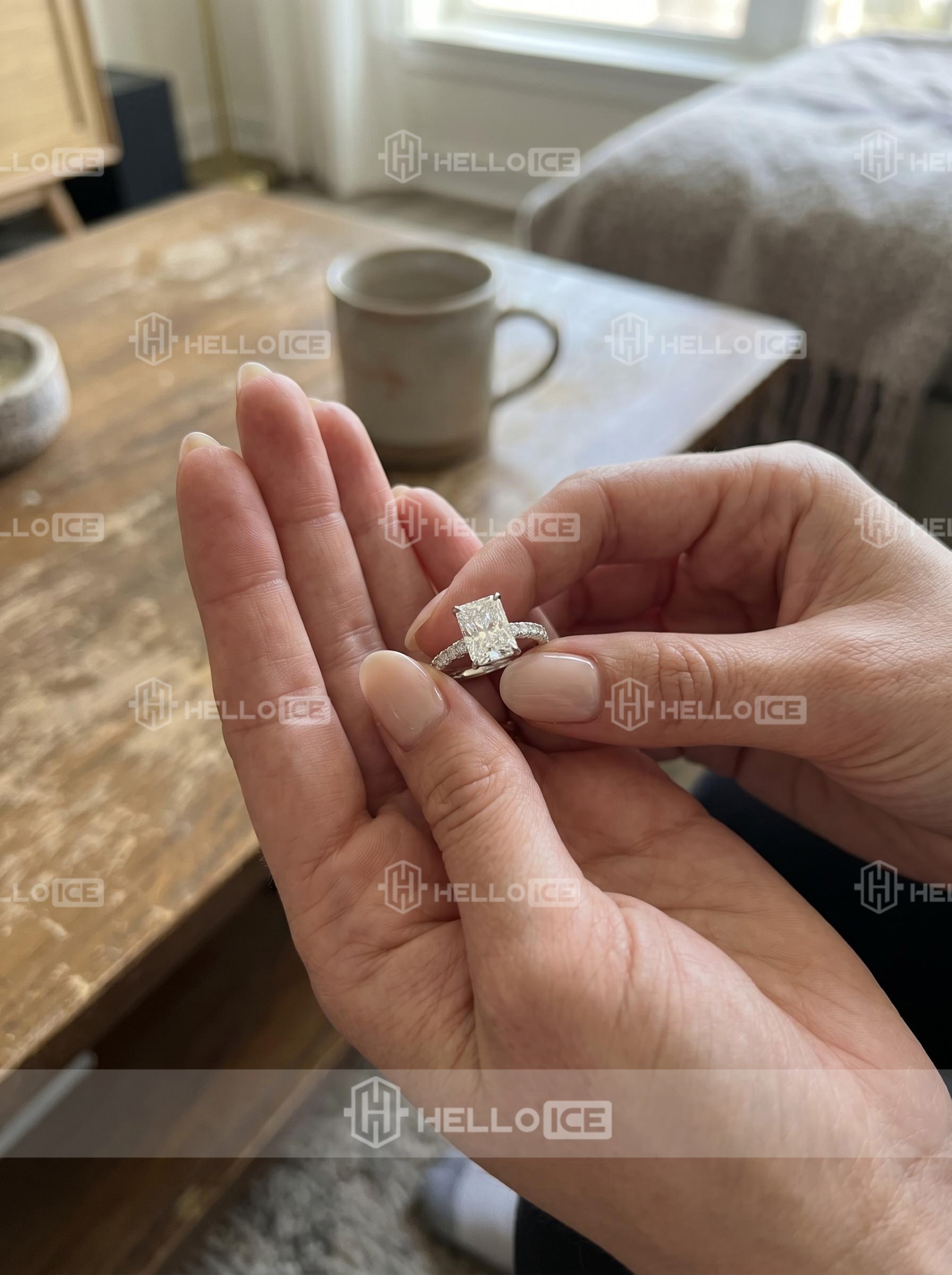 Helloice Review Image