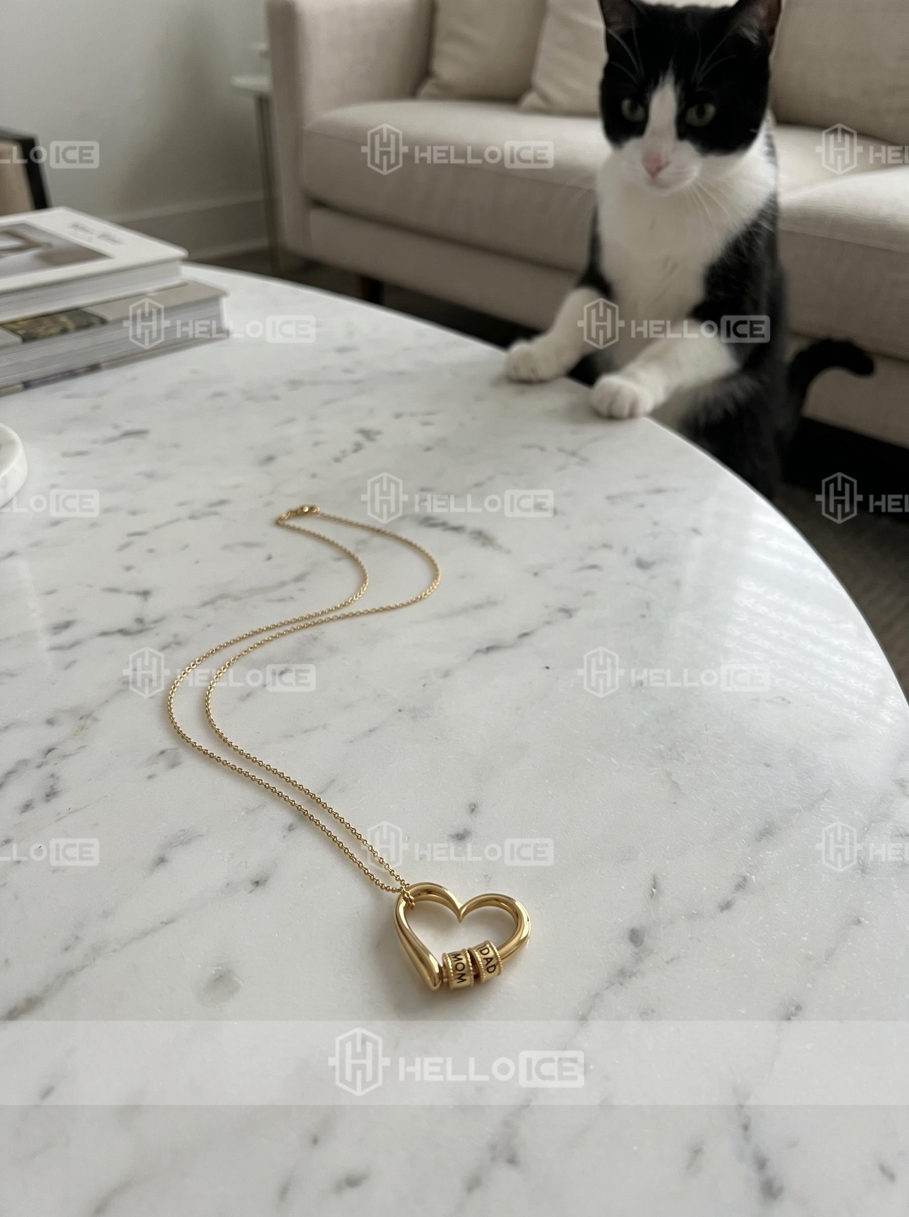Helloice Review Image