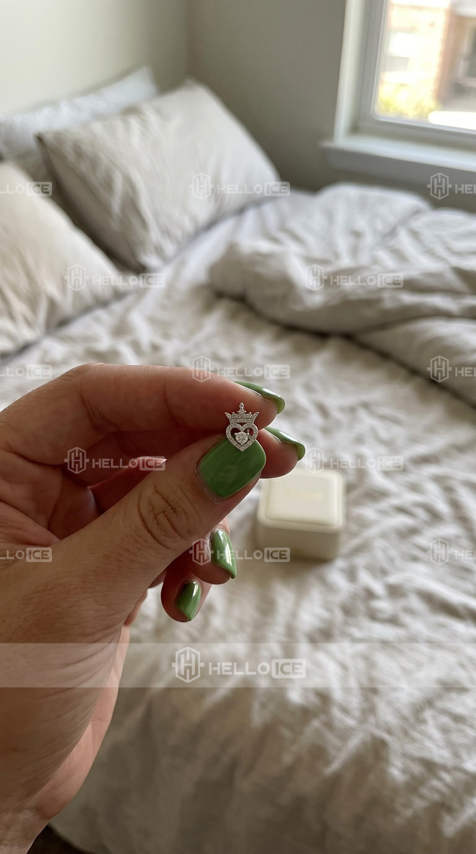 Helloice Review Image