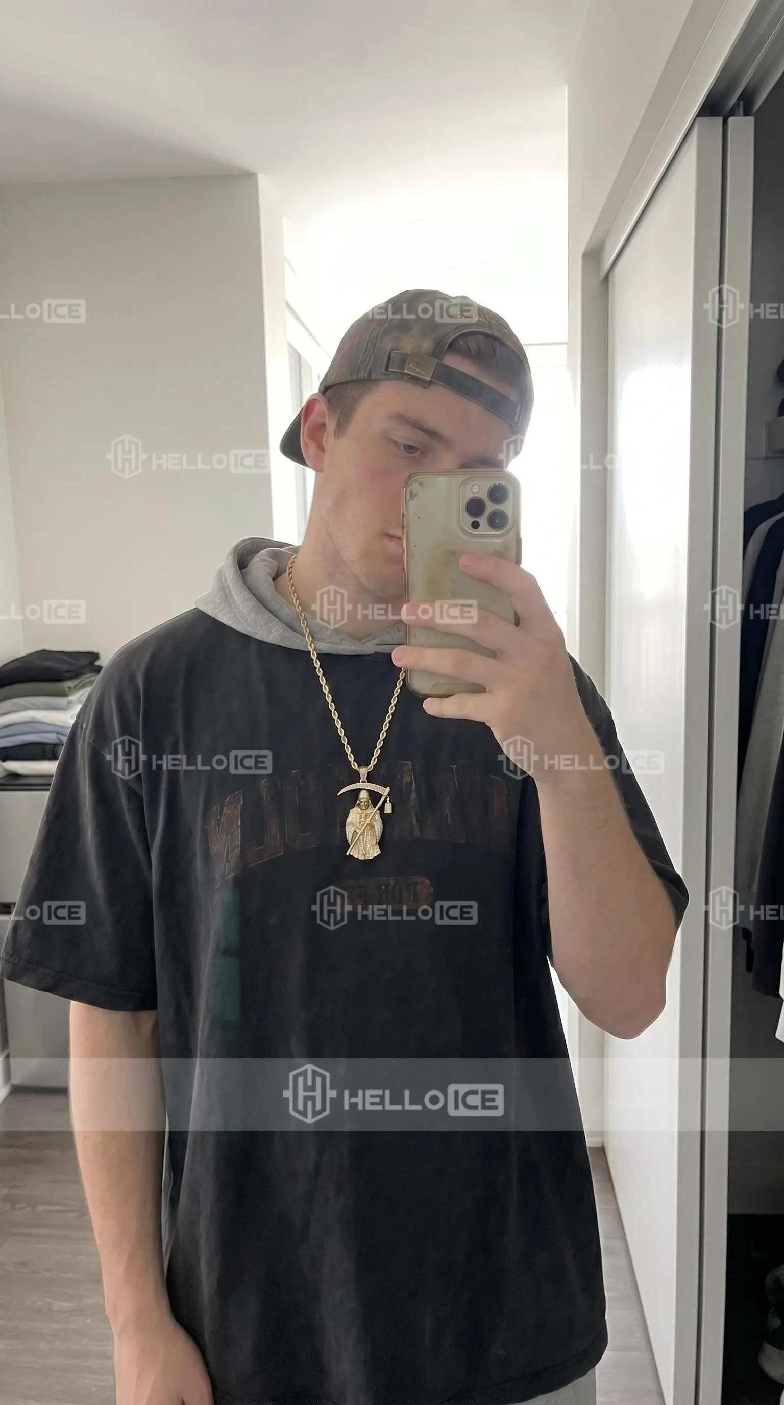 Helloice Review Image