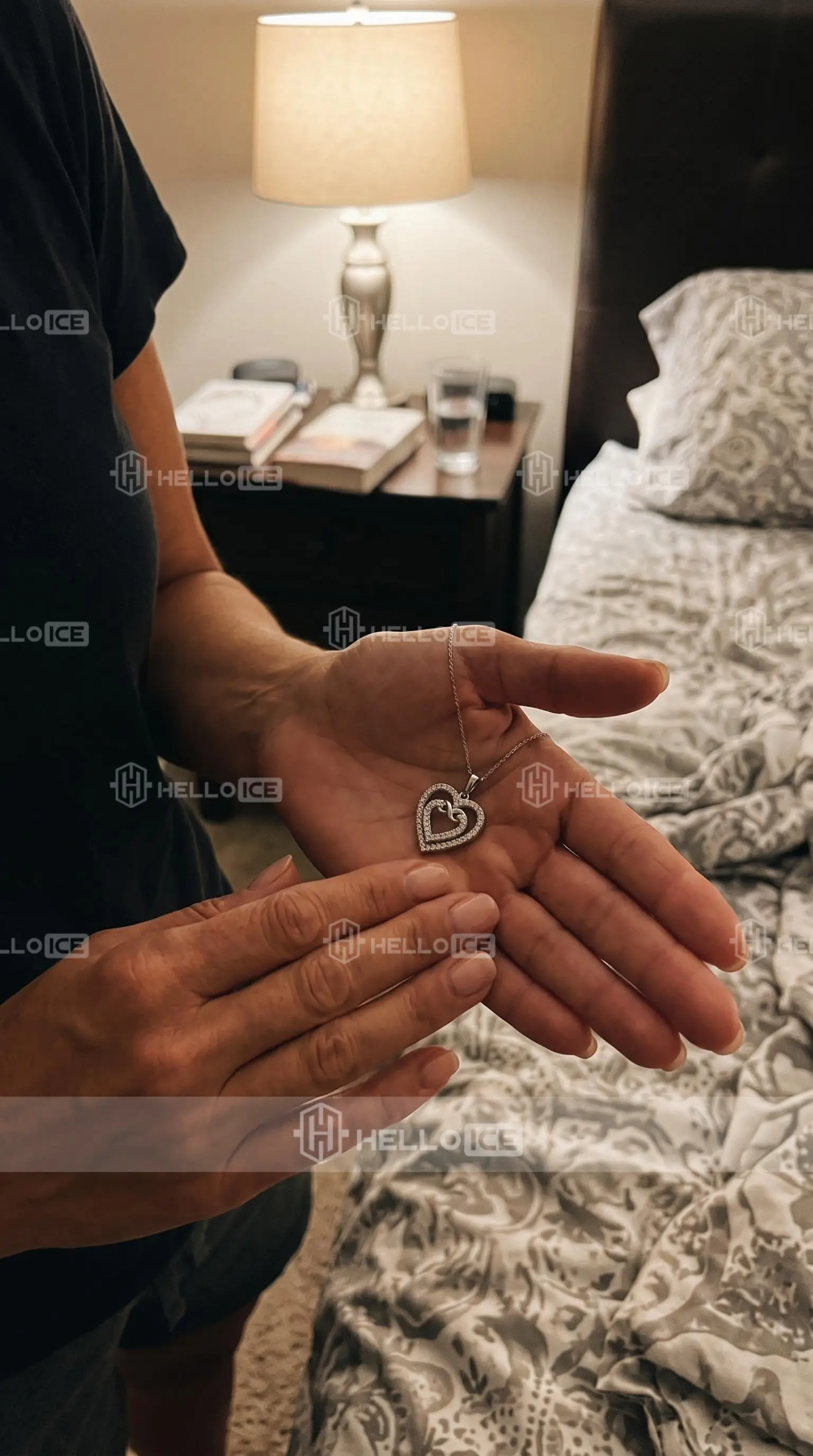 Helloice Review Image