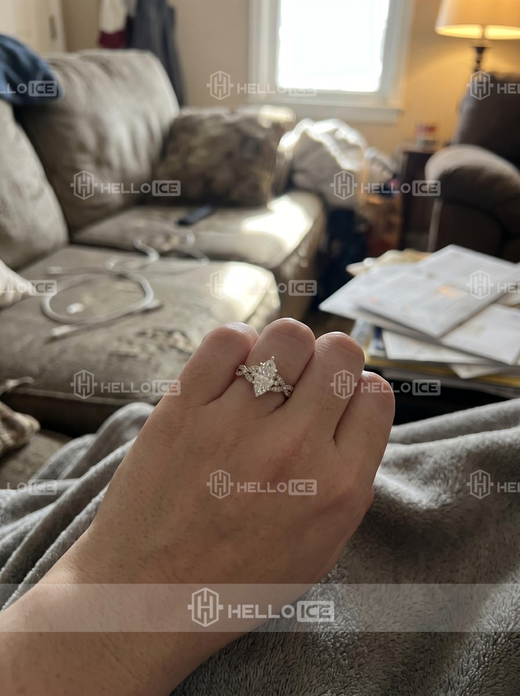 Helloice Review Image