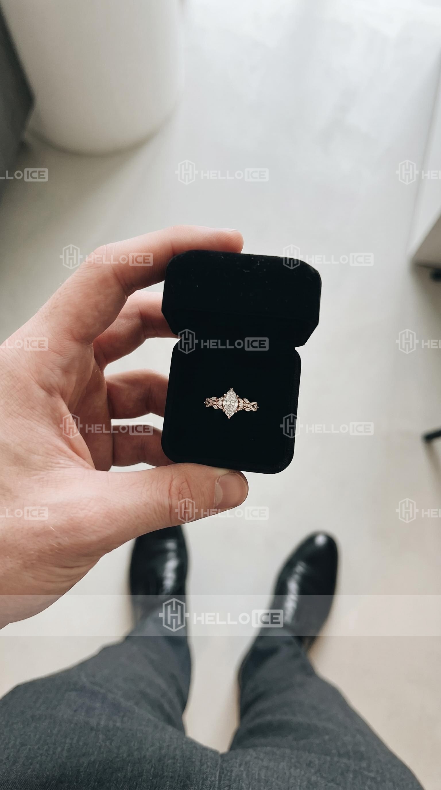 Helloice Review Image