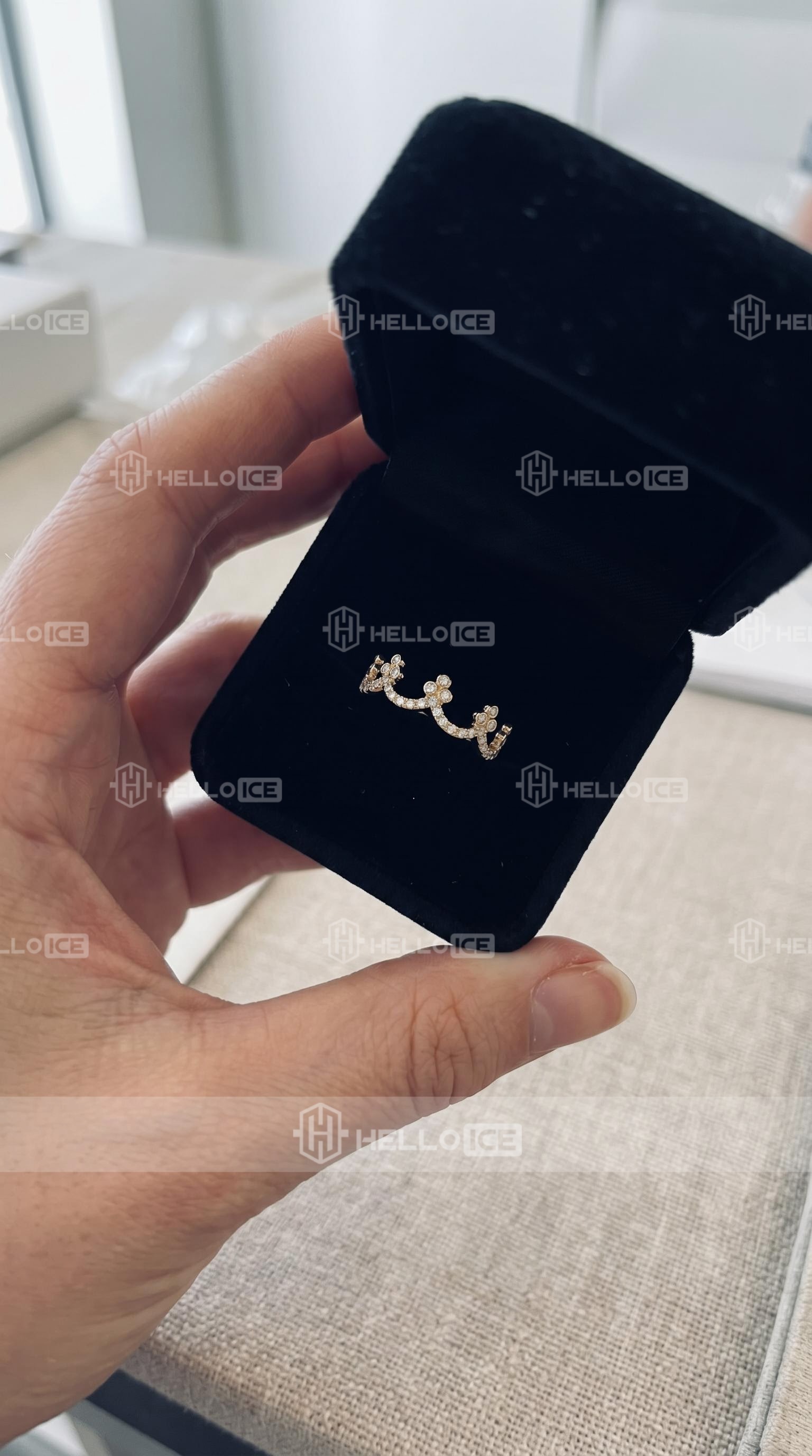 Helloice Review Image