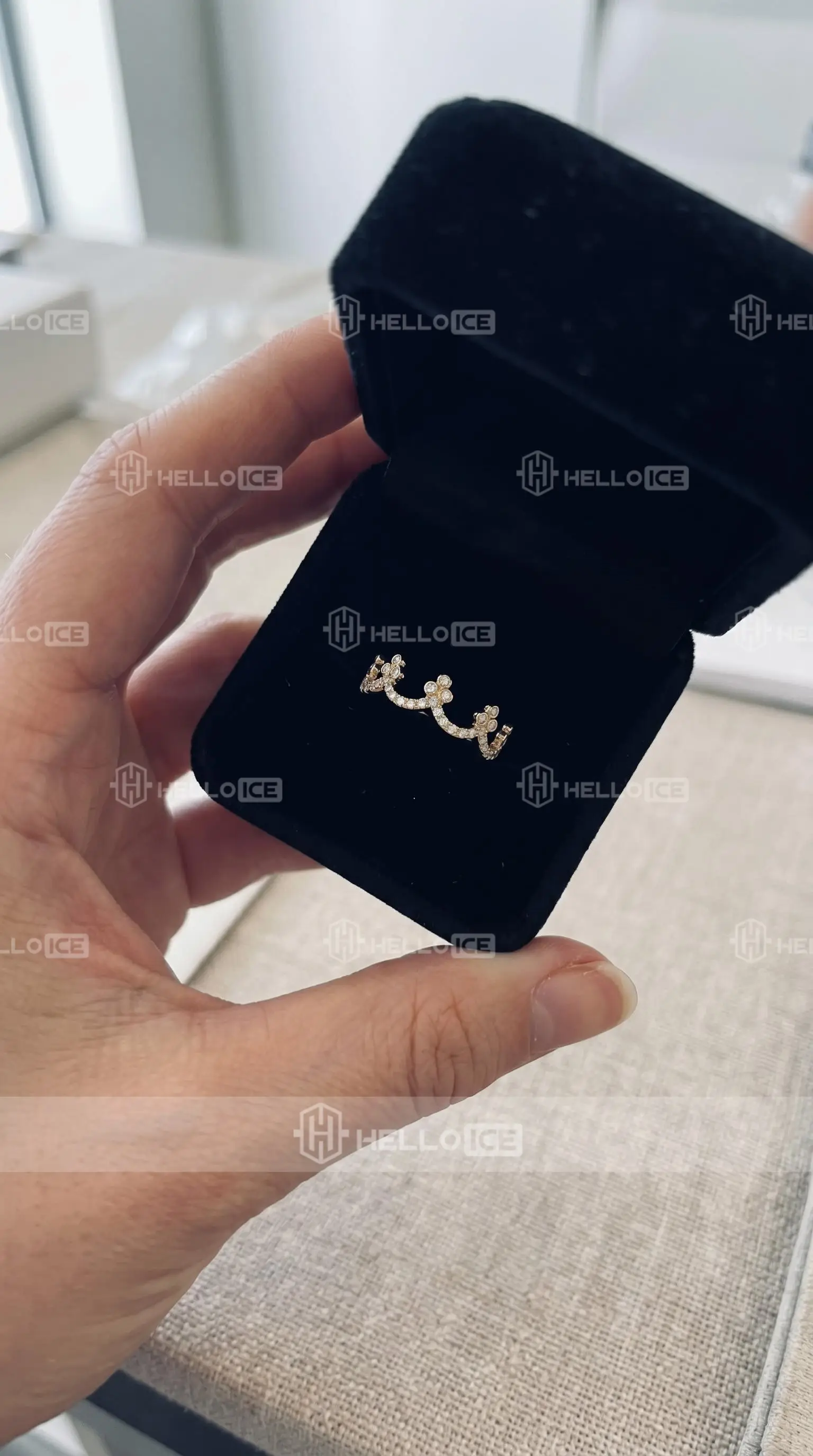 Helloice Review Image