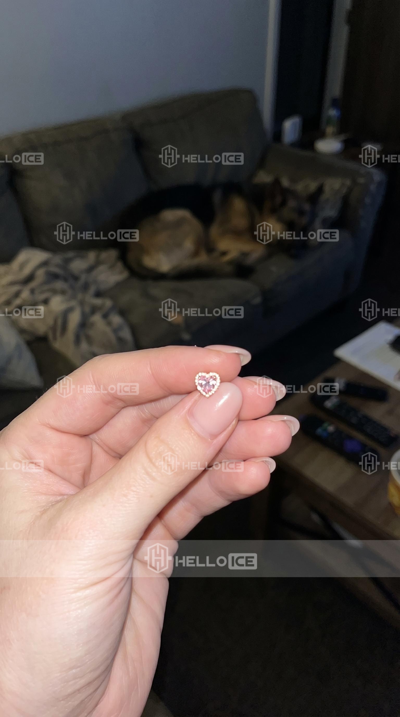 Helloice Review Image