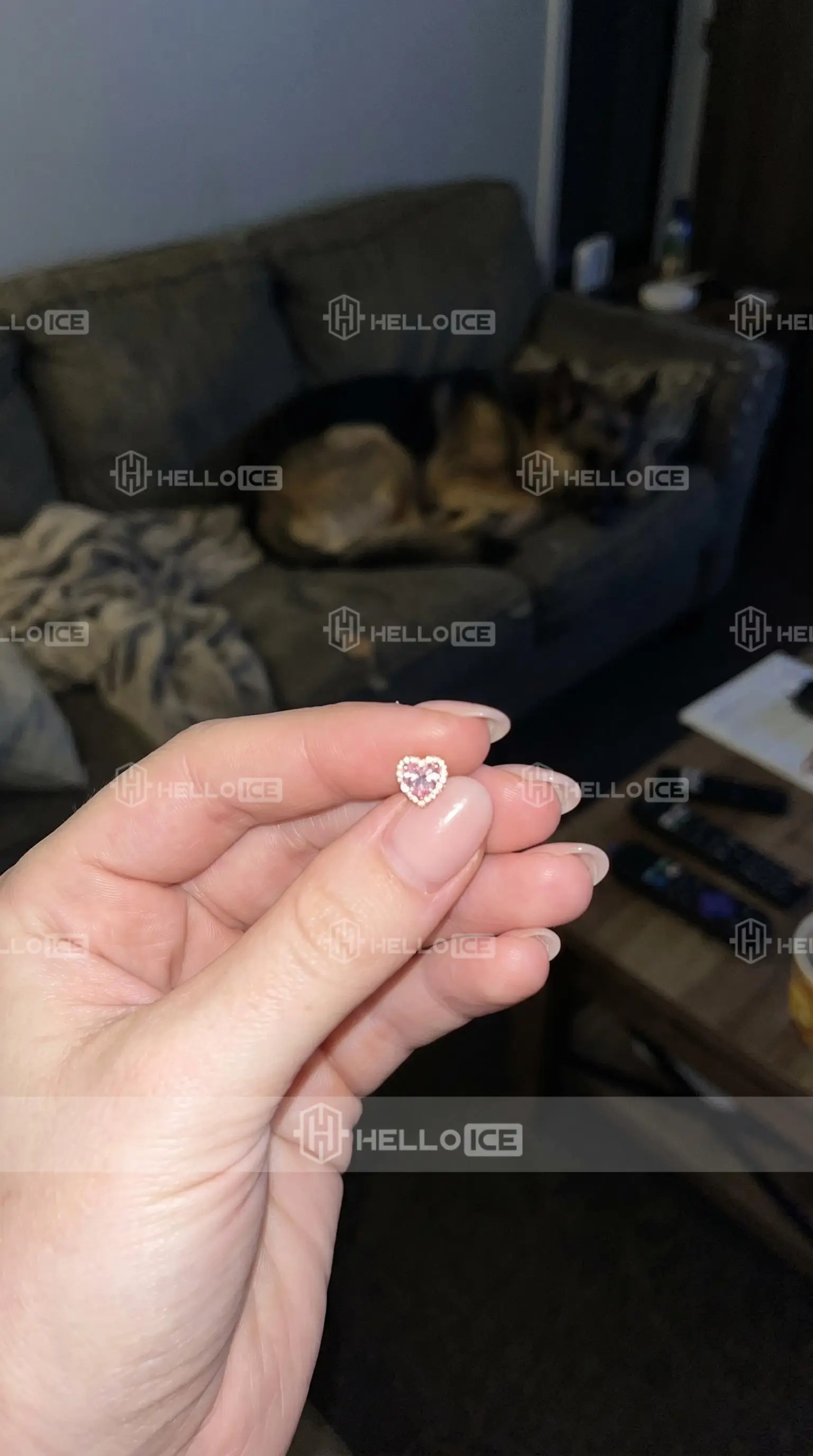 Helloice Review Image