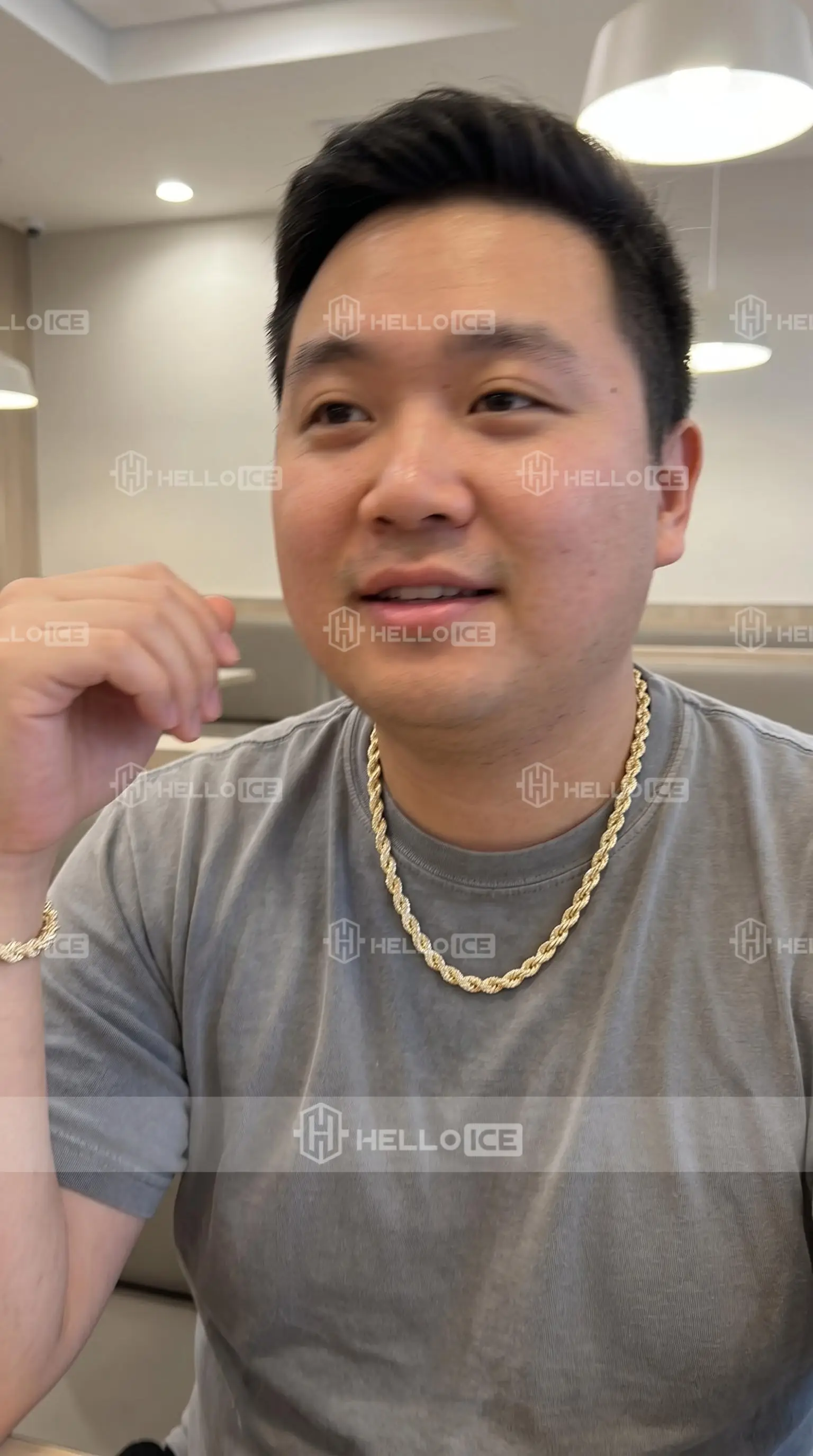 Helloice Review Image