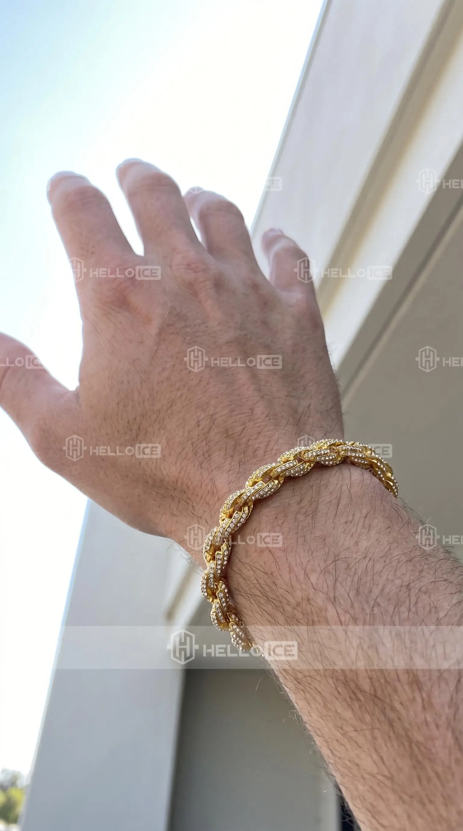 Helloice Review Image