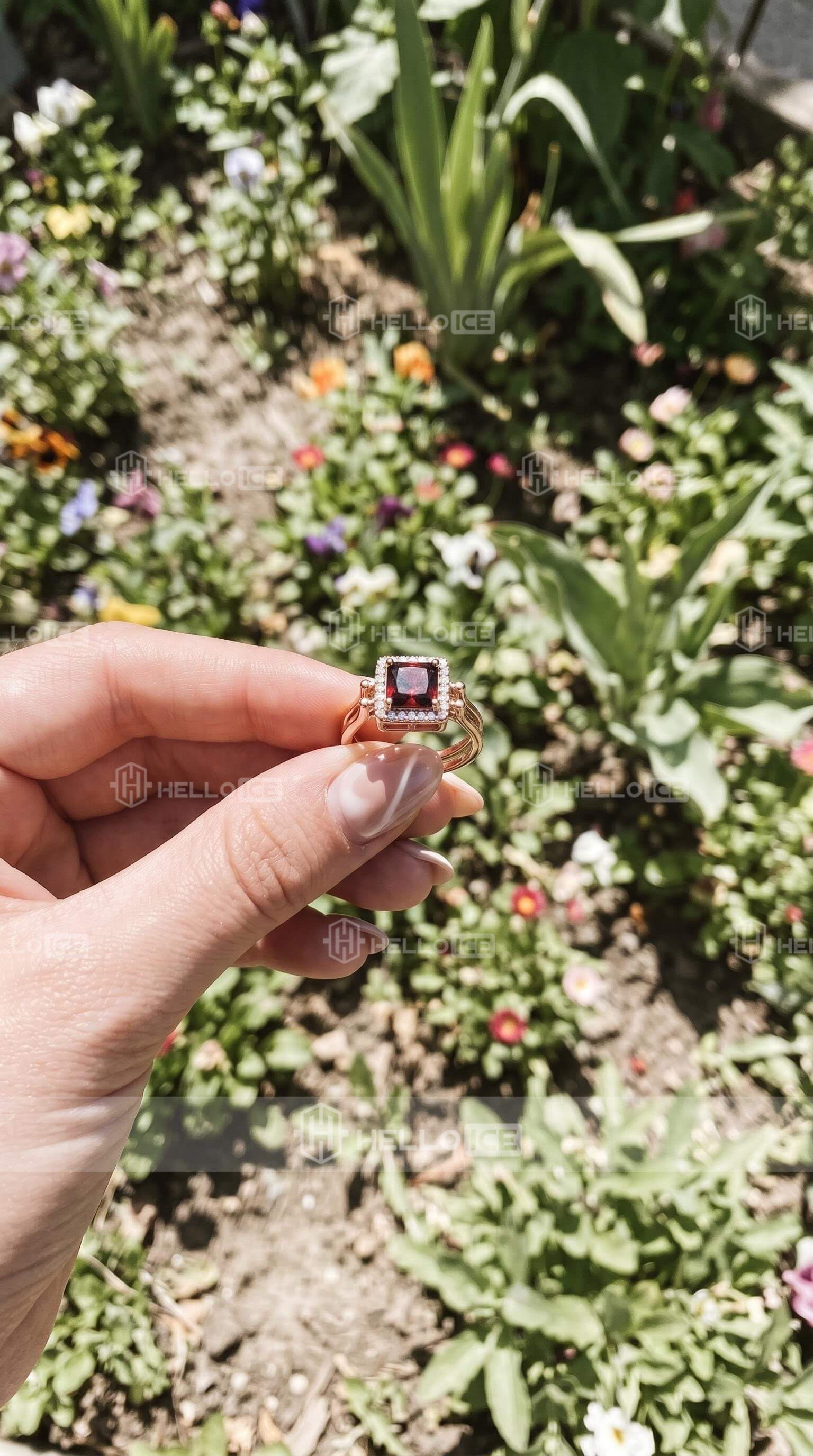 Helloice Review Image