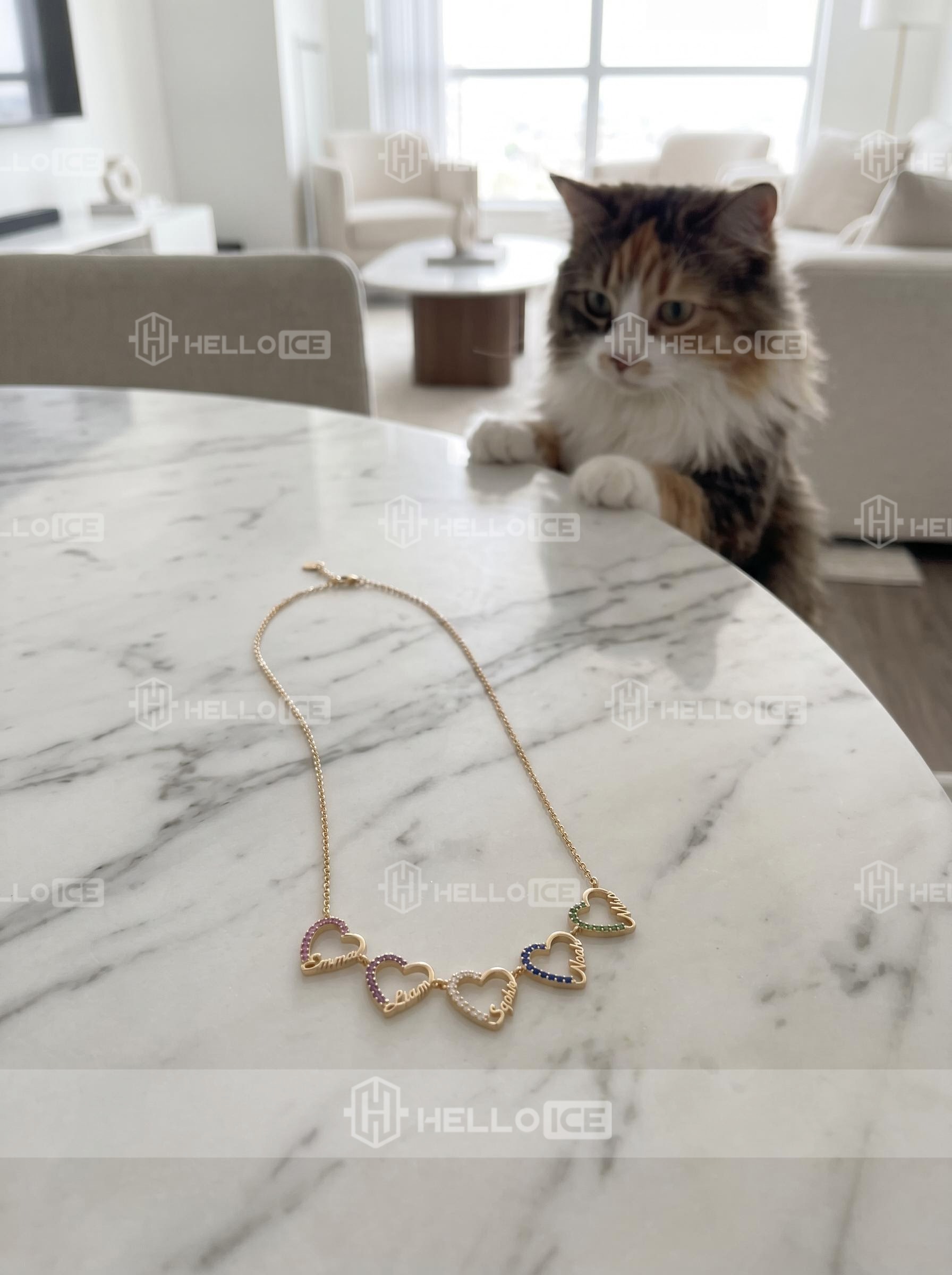 Helloice Review Image