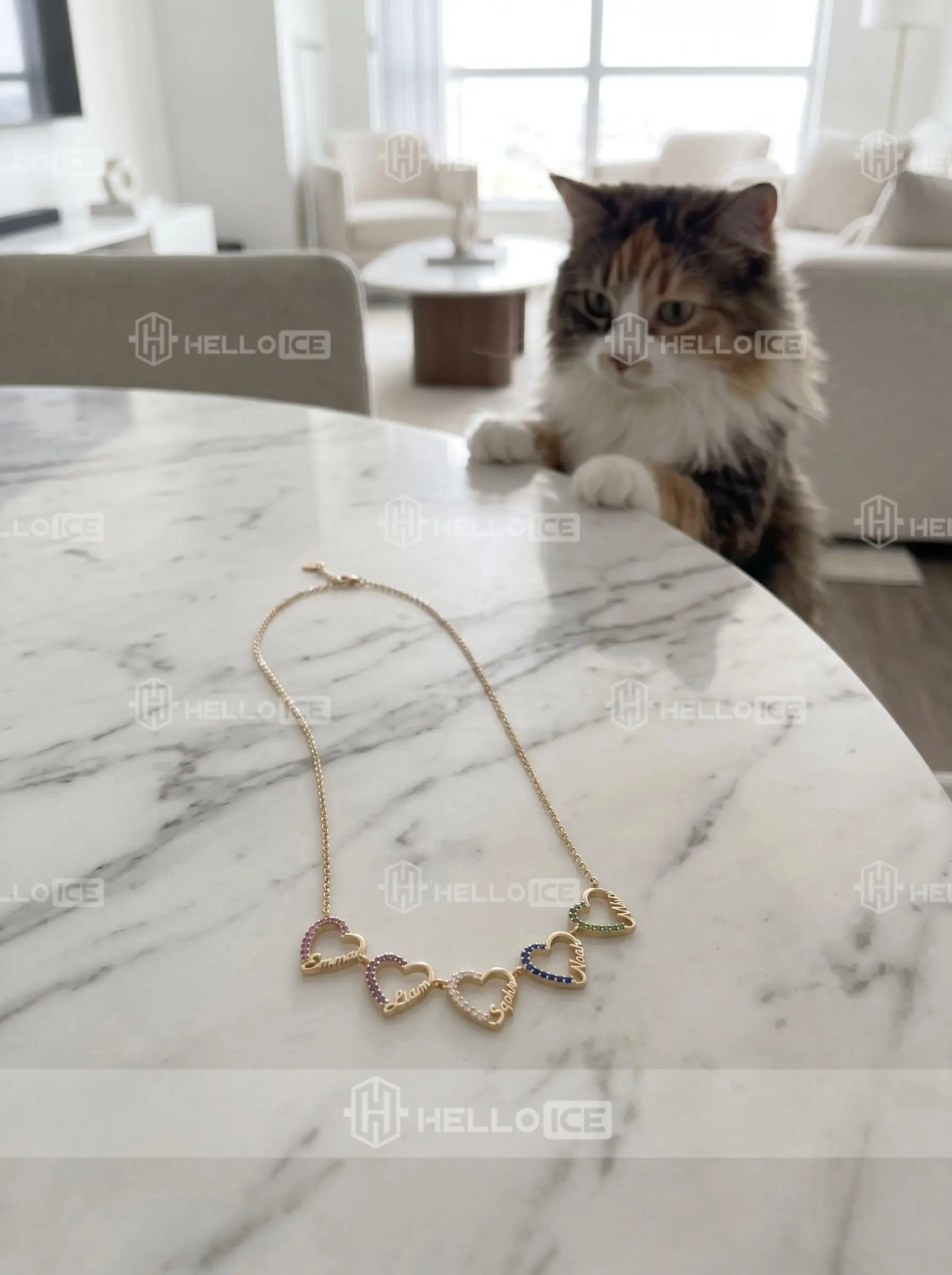 Helloice Review Image
