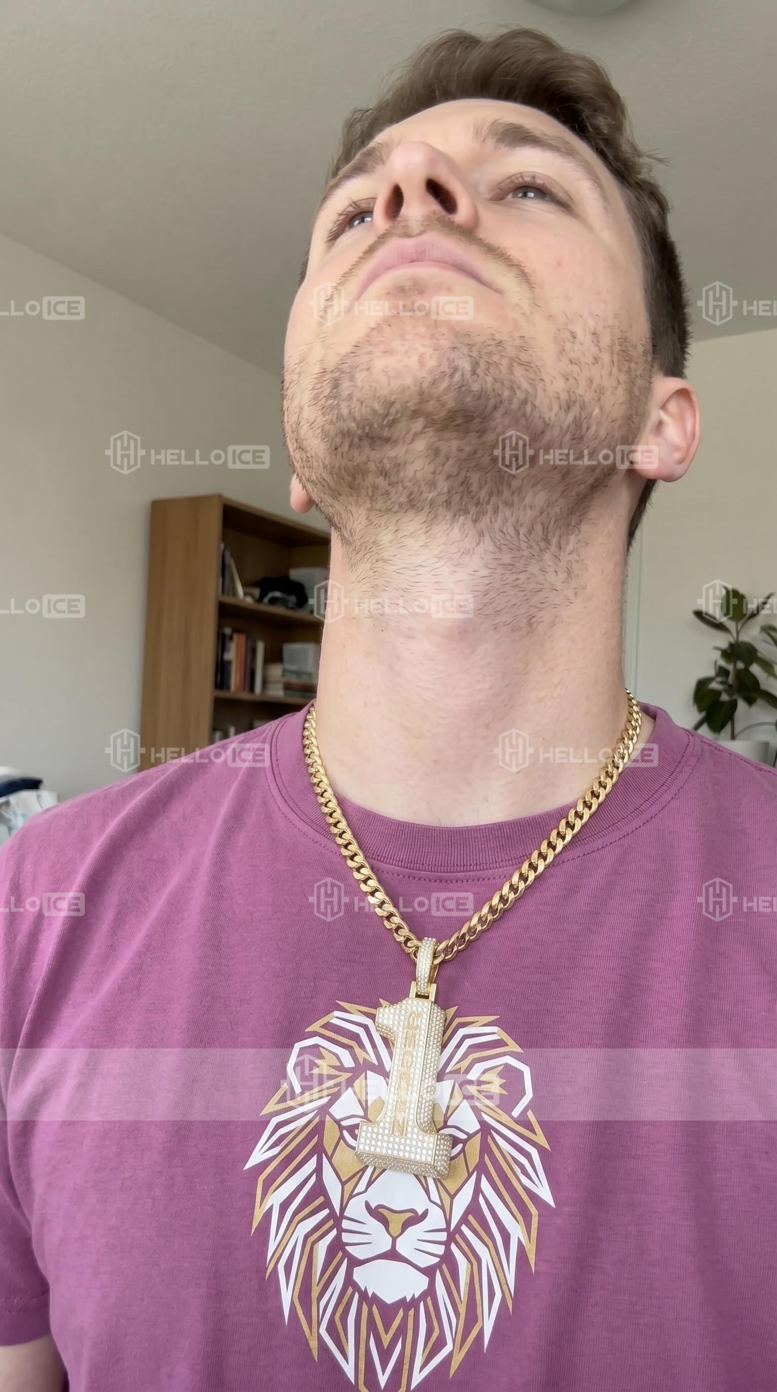 Helloice Review Image
