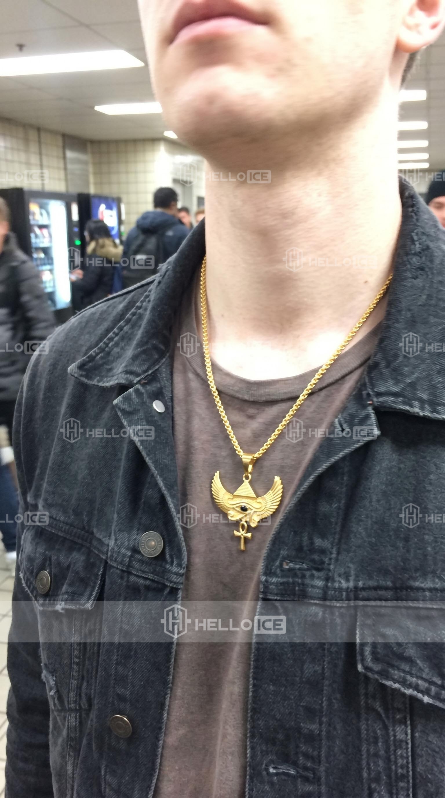 Helloice Review Image