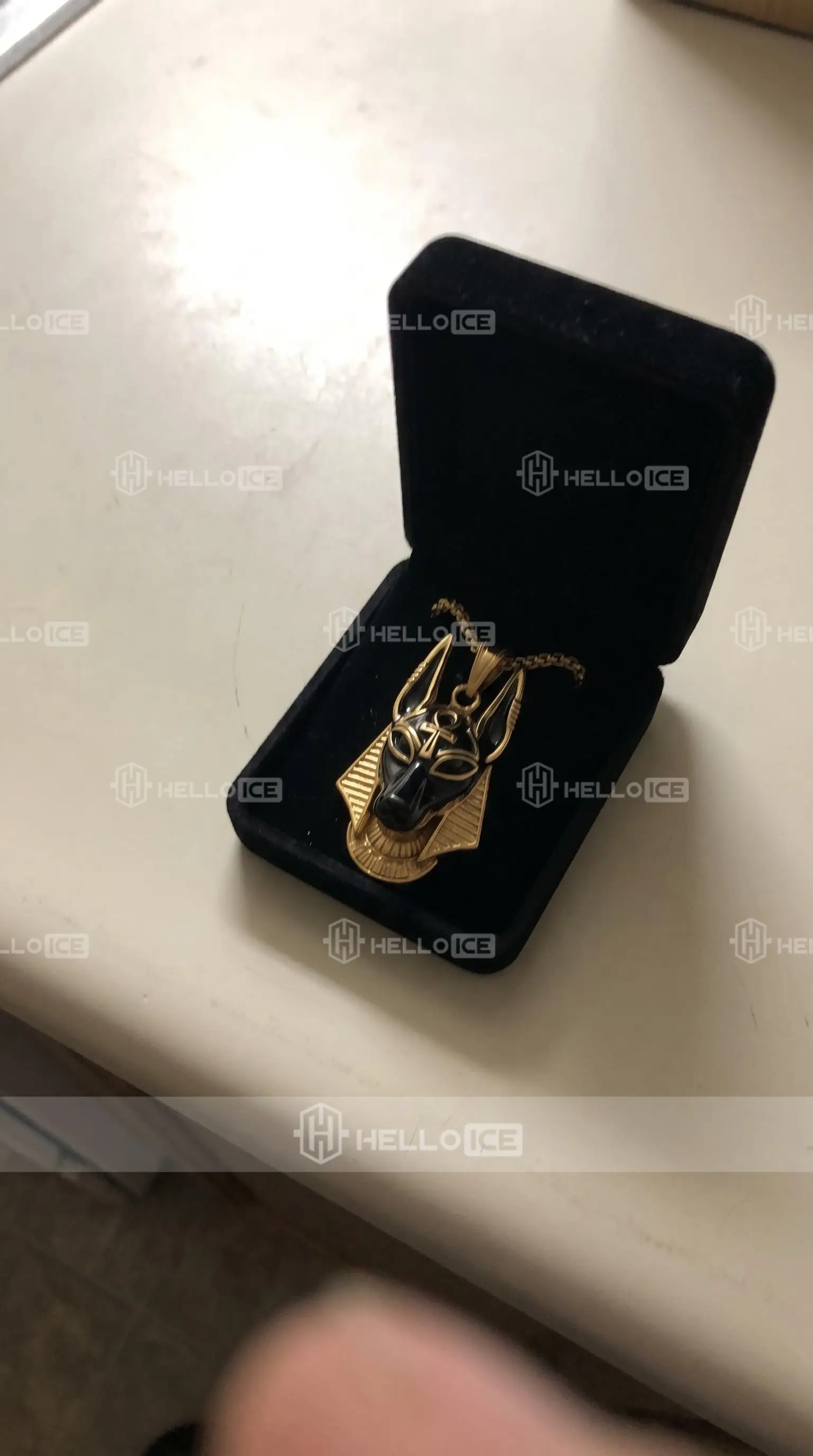 Helloice Review Image