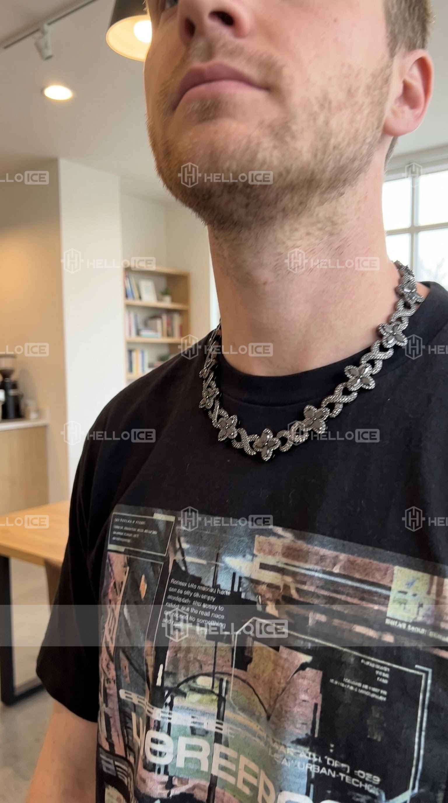 Helloice Review Image