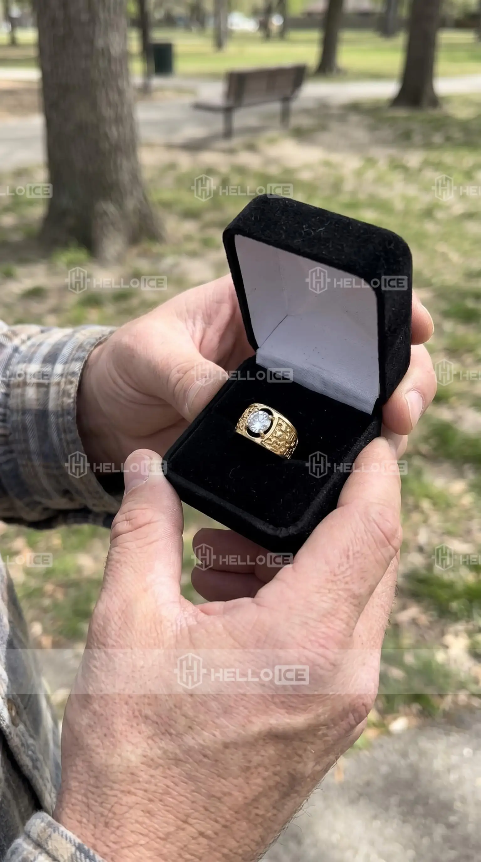 Helloice Review Image