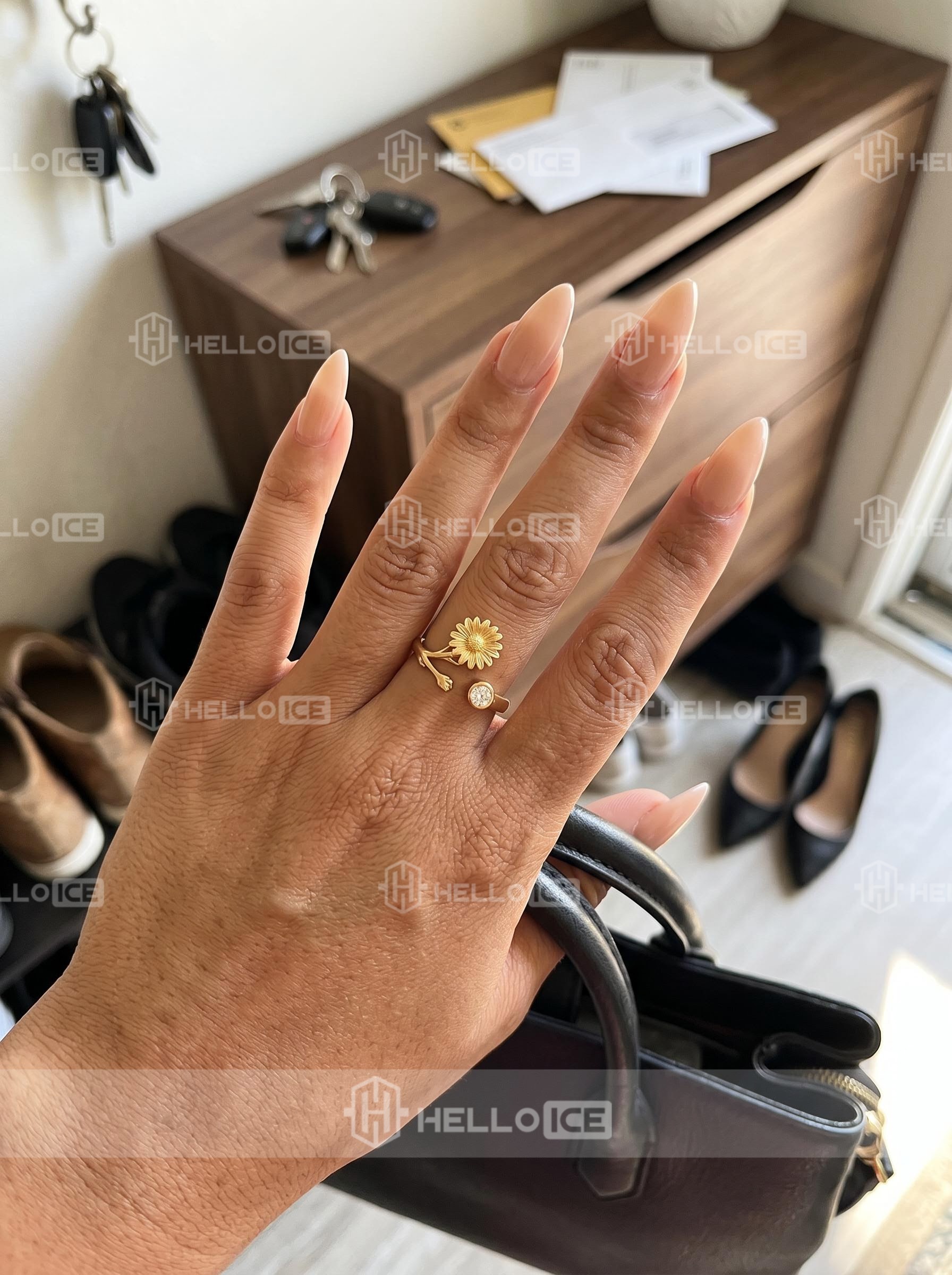 Helloice Review Image