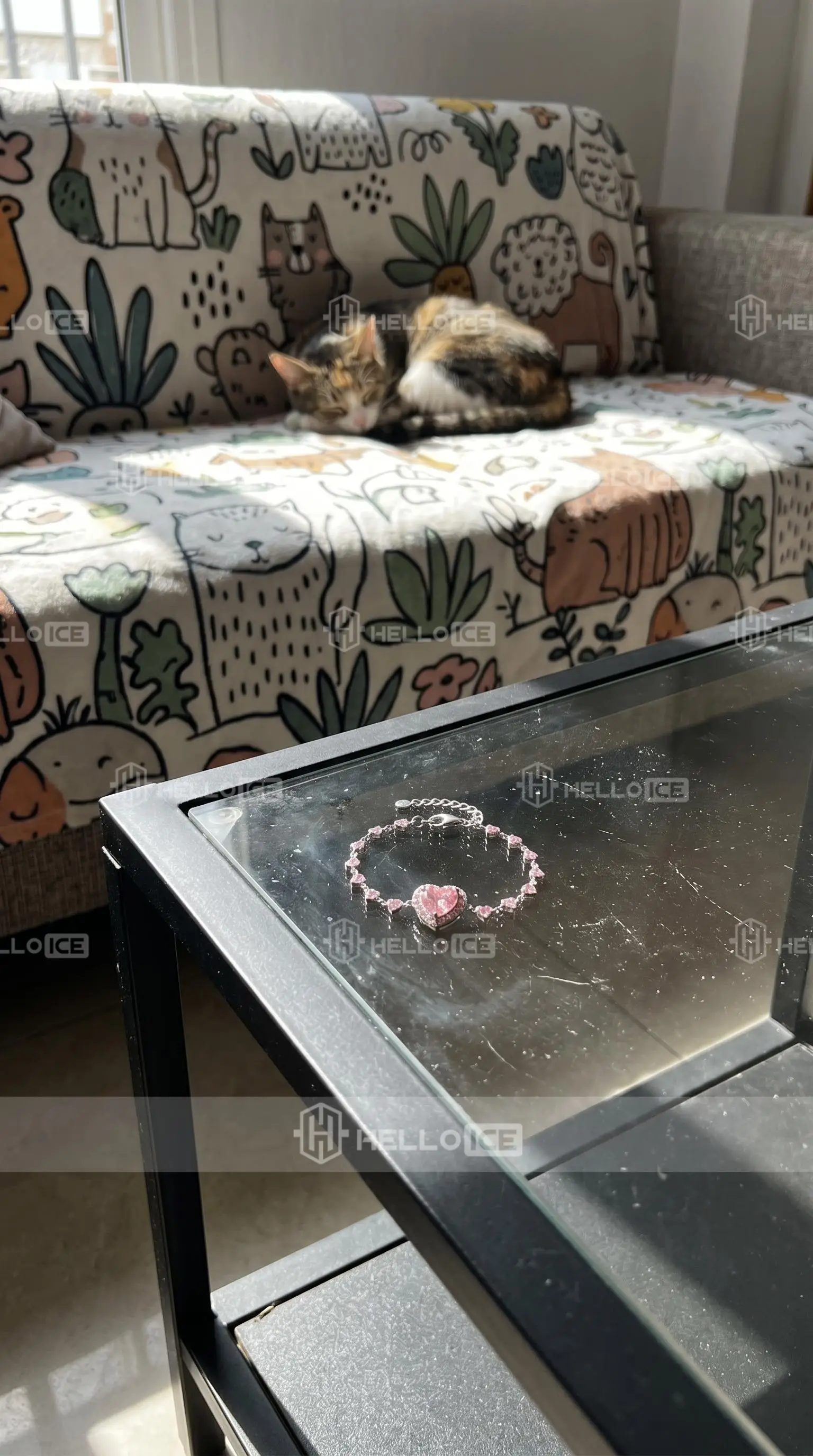 Helloice Review Image