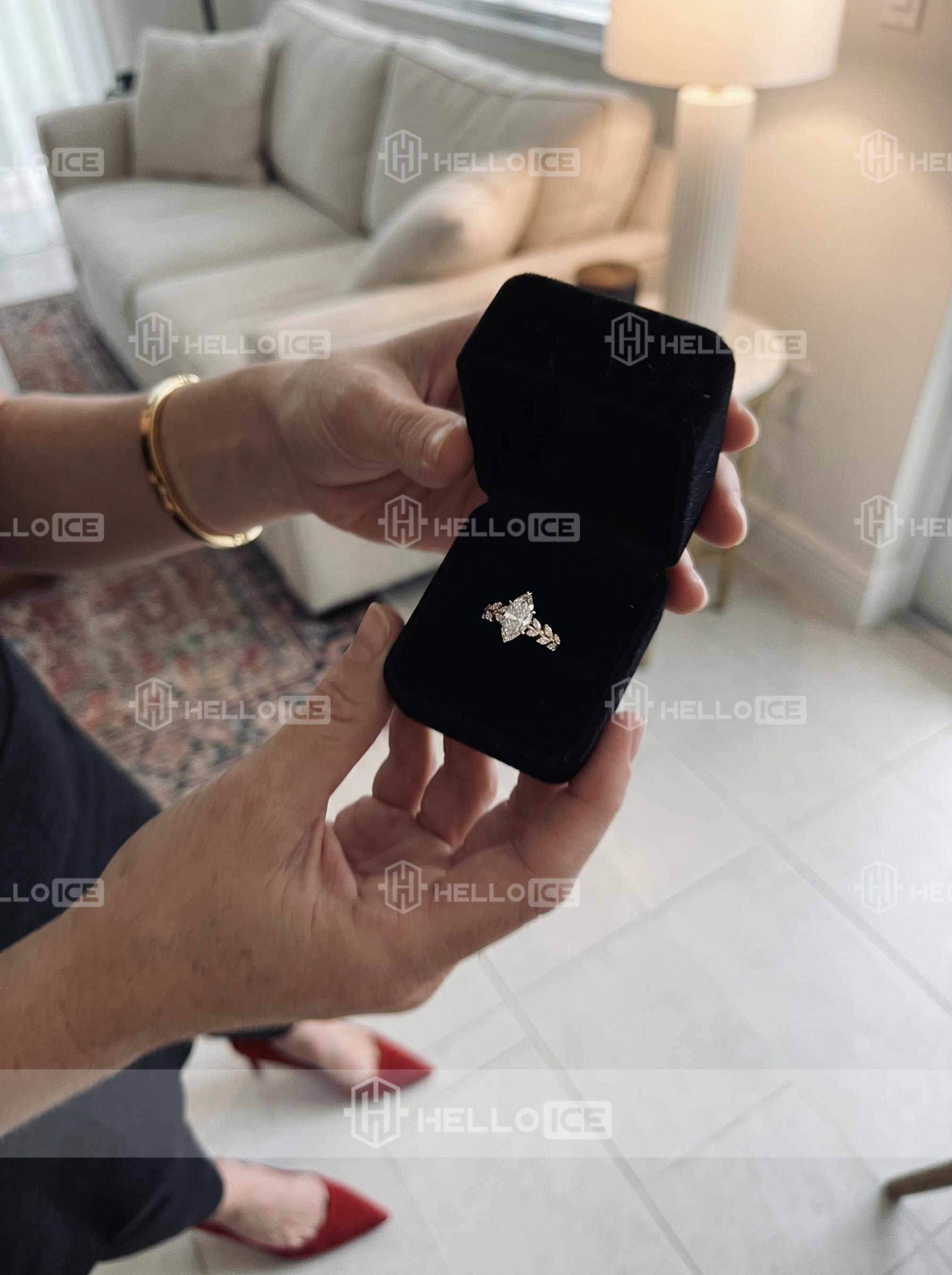 Helloice Review Image