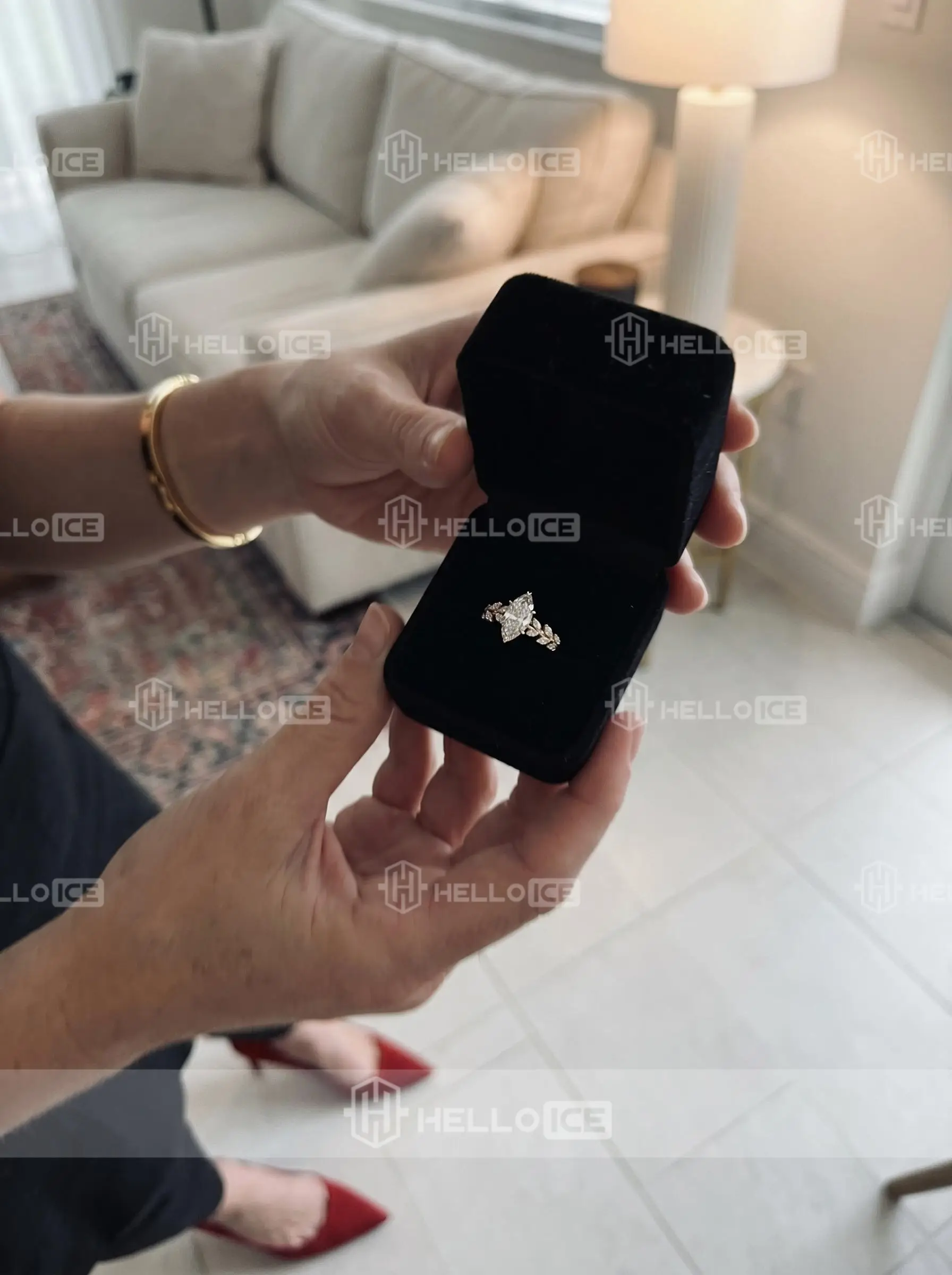 Helloice Review Image