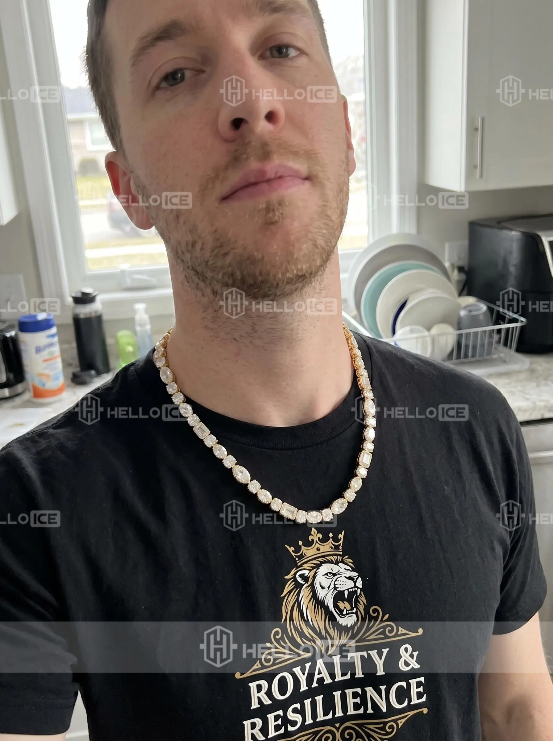 Helloice Review Image