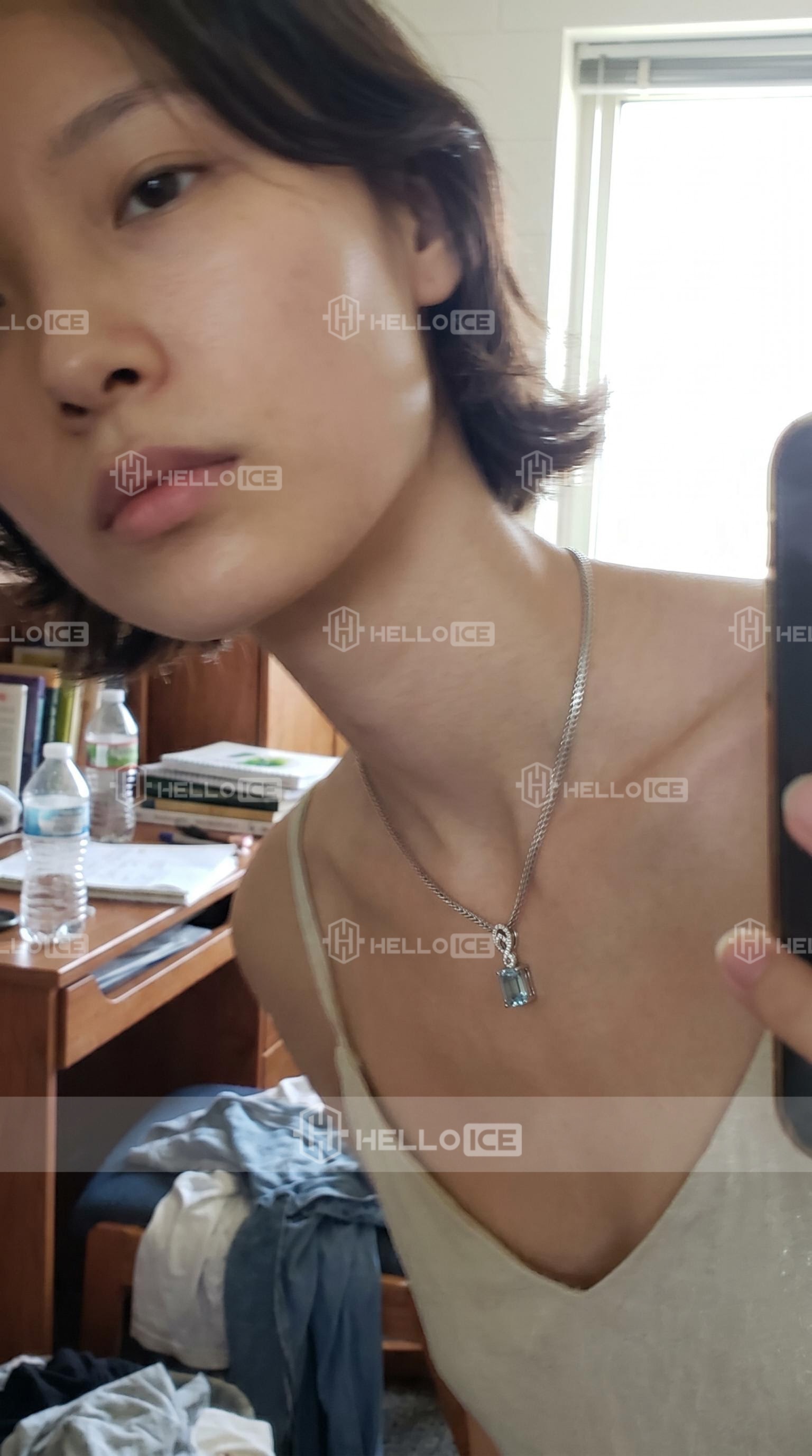 Helloice Review Image