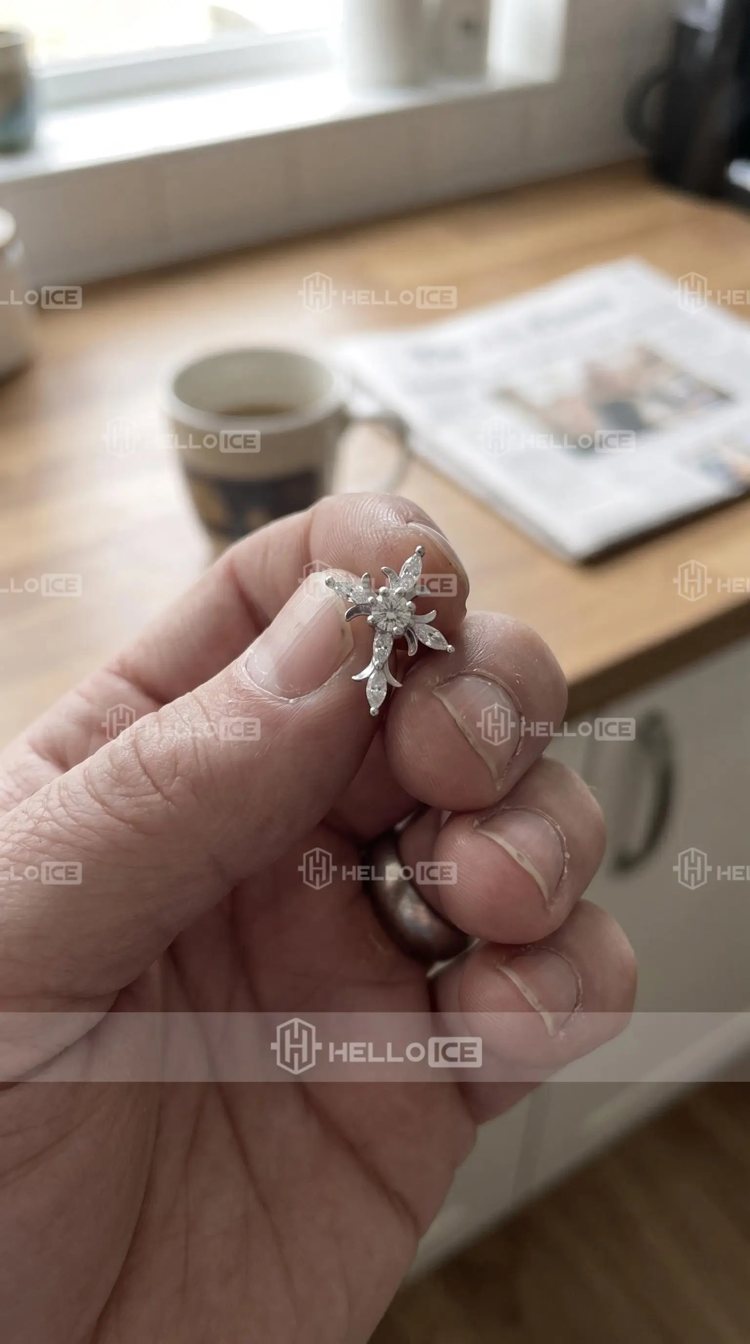 Helloice Review Image