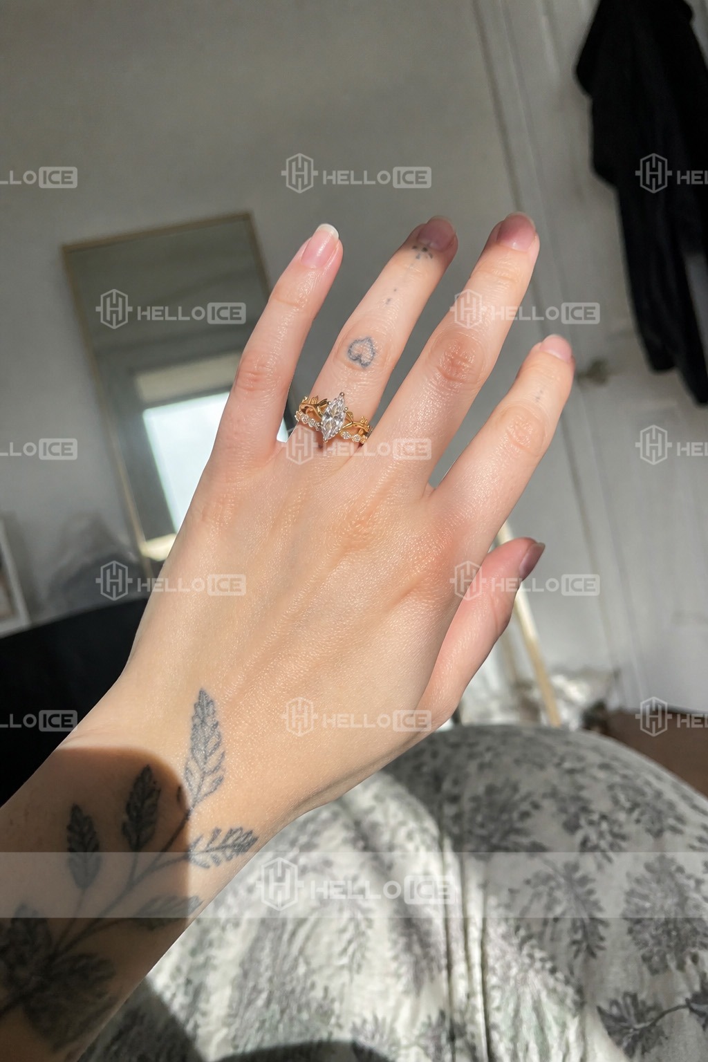 Helloice Review Image