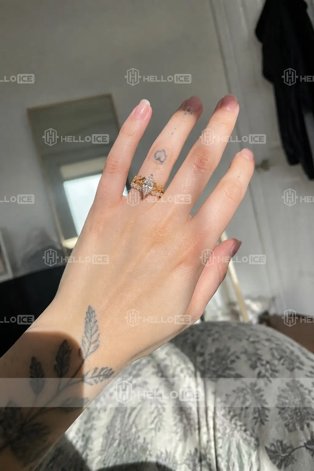 Helloice Review Image