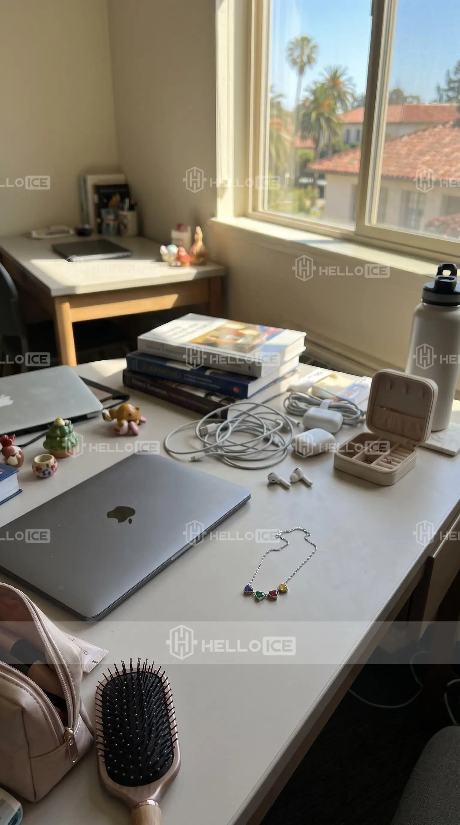 Helloice Review Image