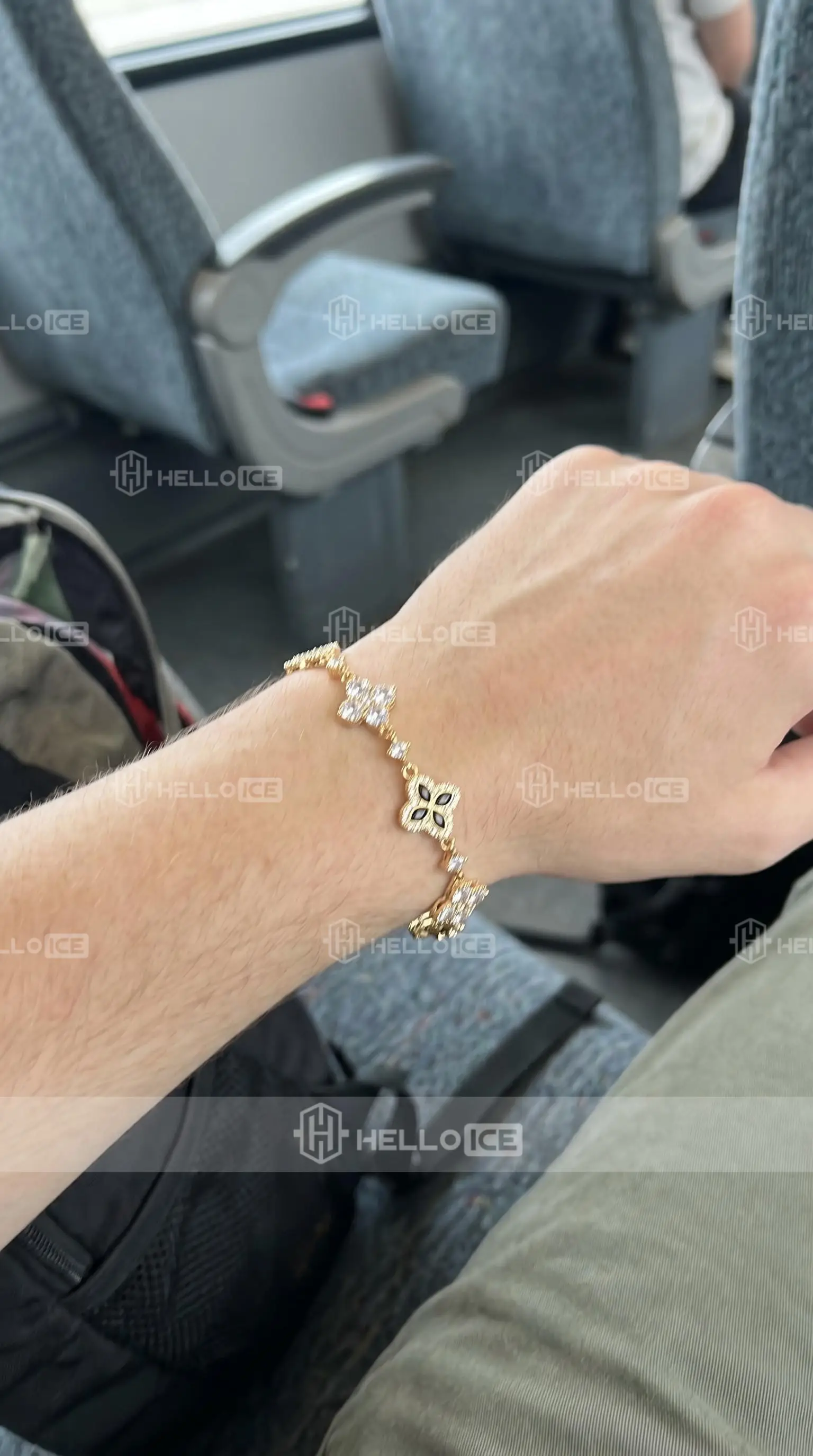 Helloice Review Image