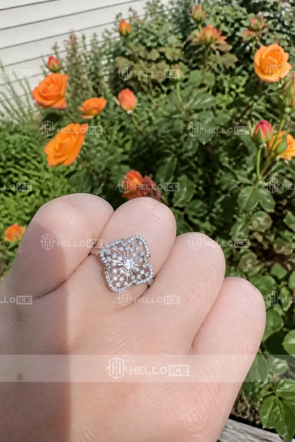 Helloice Review Image