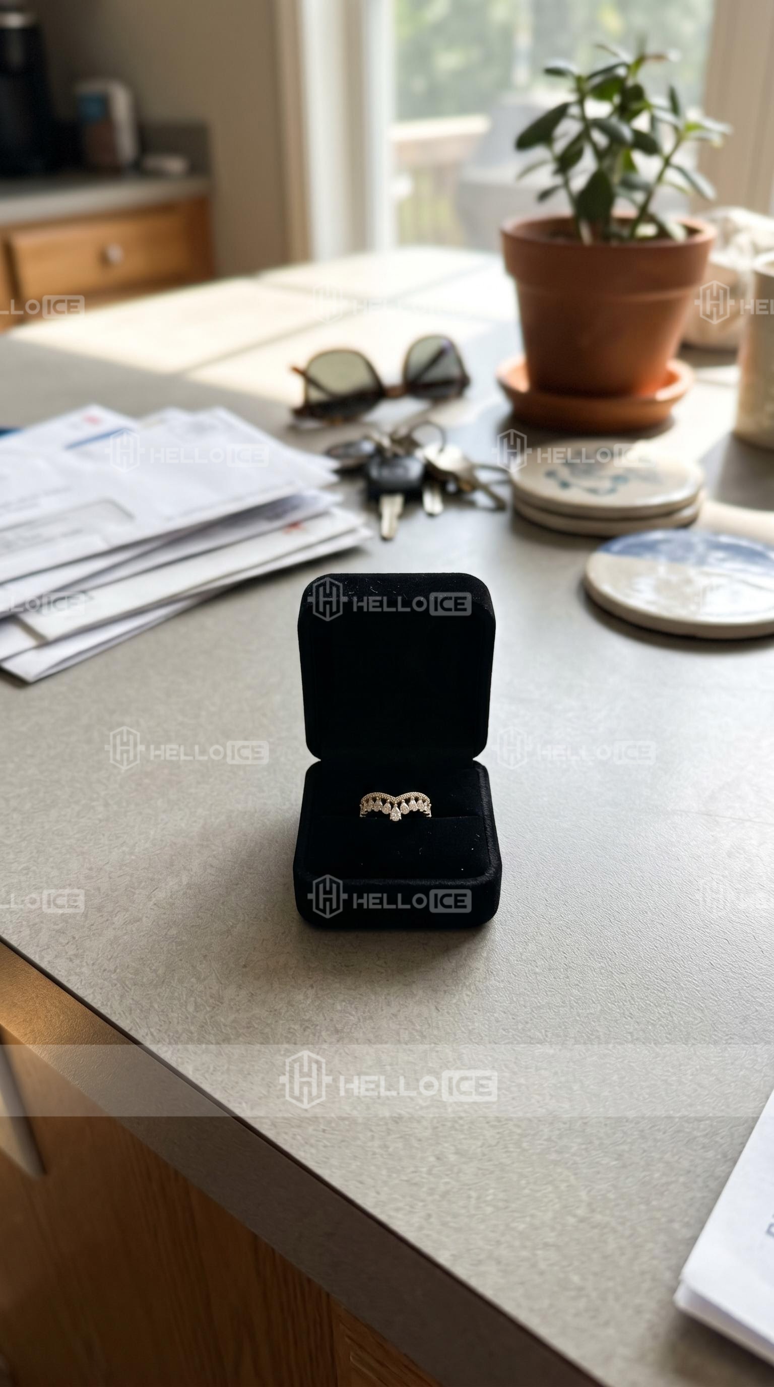 Helloice Review Image