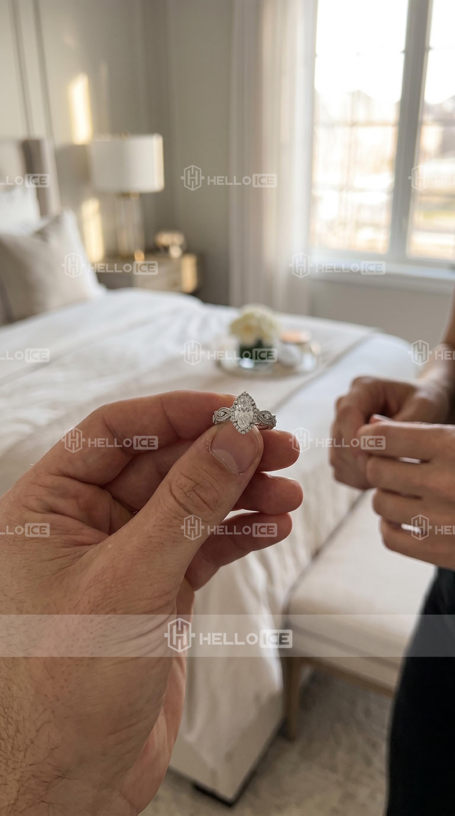 Helloice Review Image