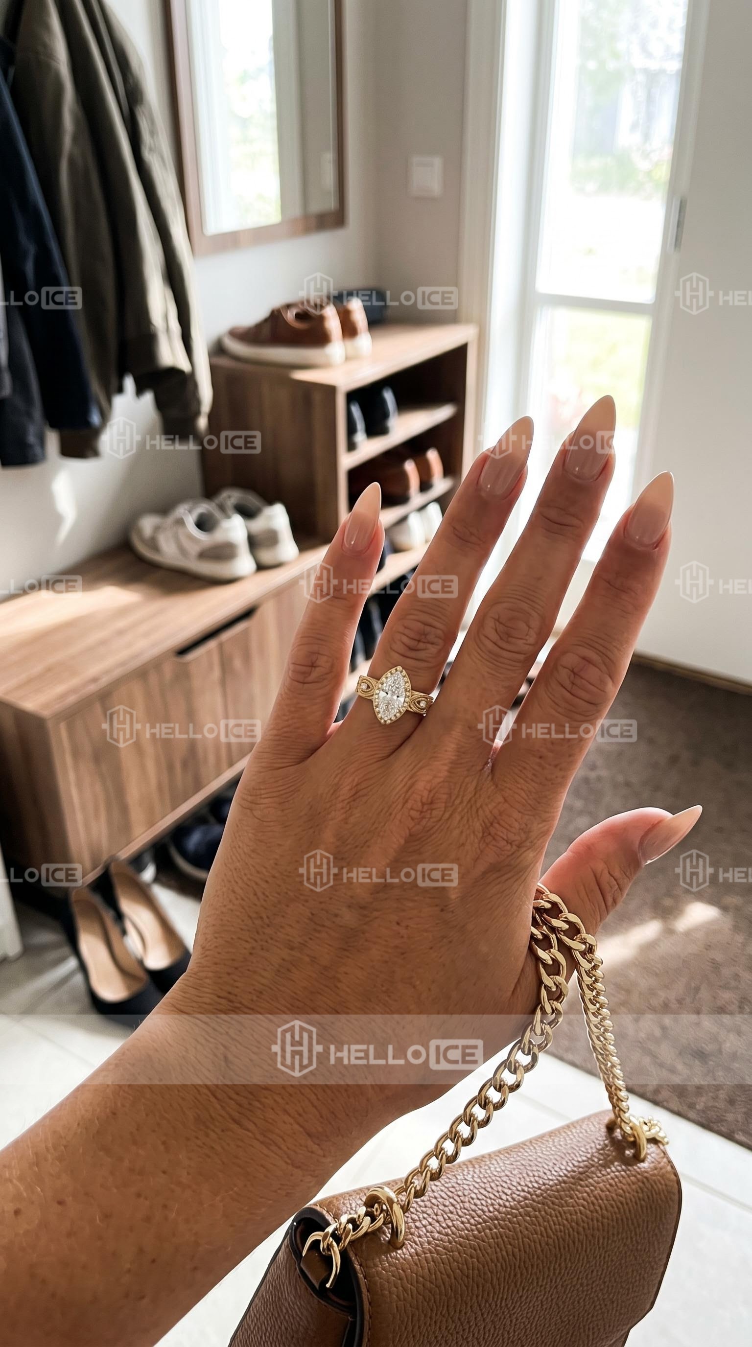 Helloice Review Image
