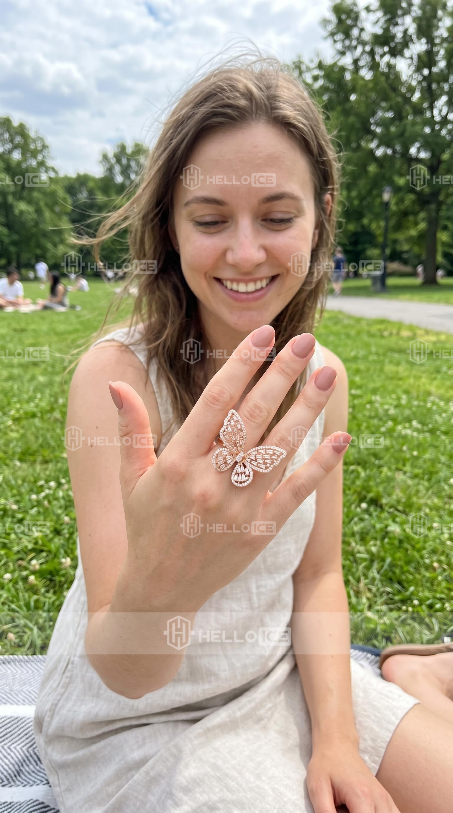 Helloice Review Image