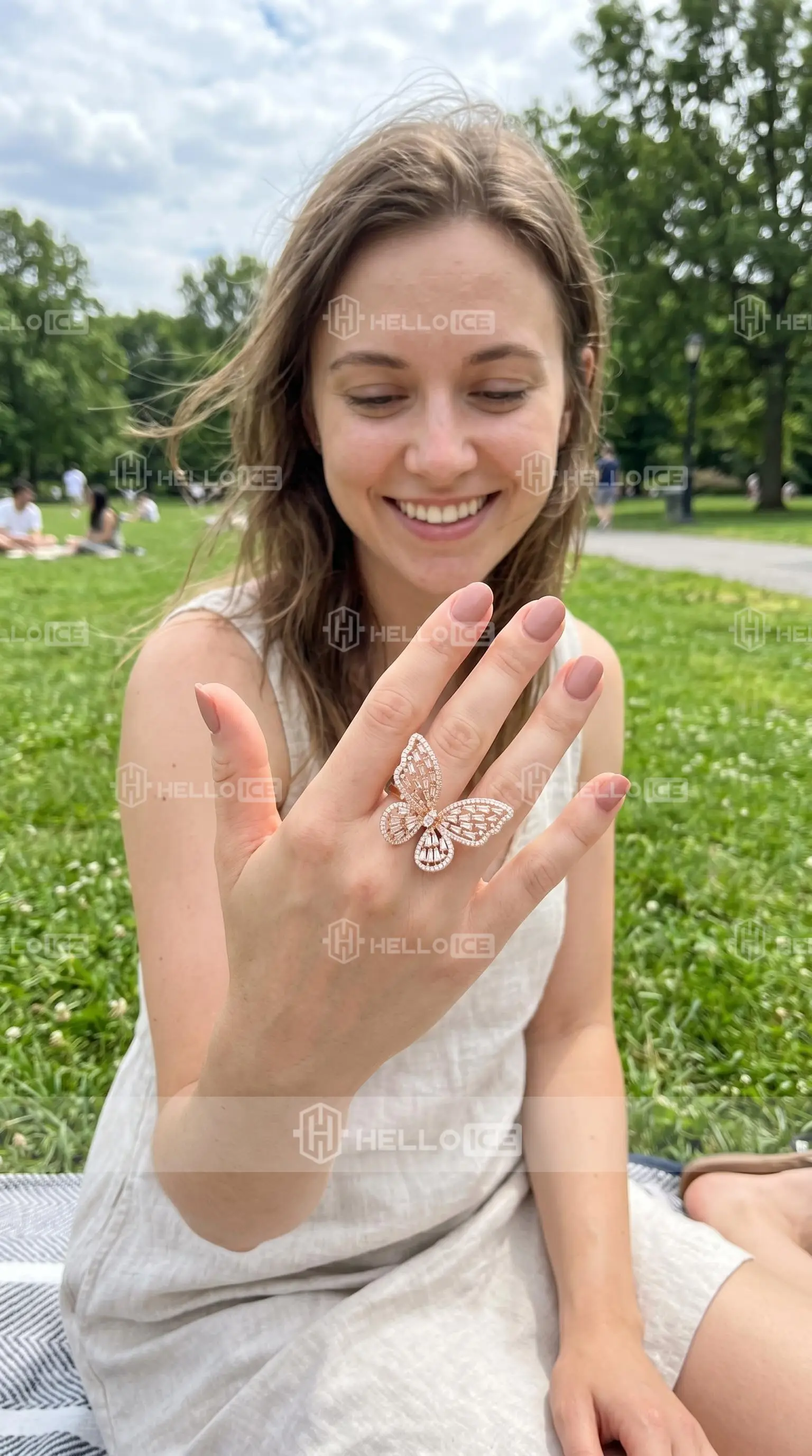 Helloice Review Image
