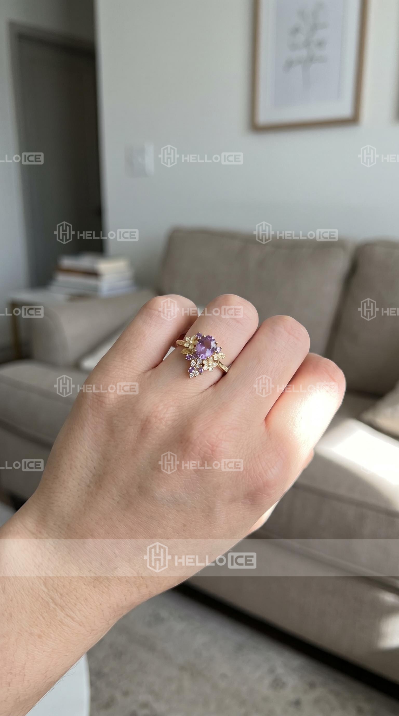 Helloice Review Image