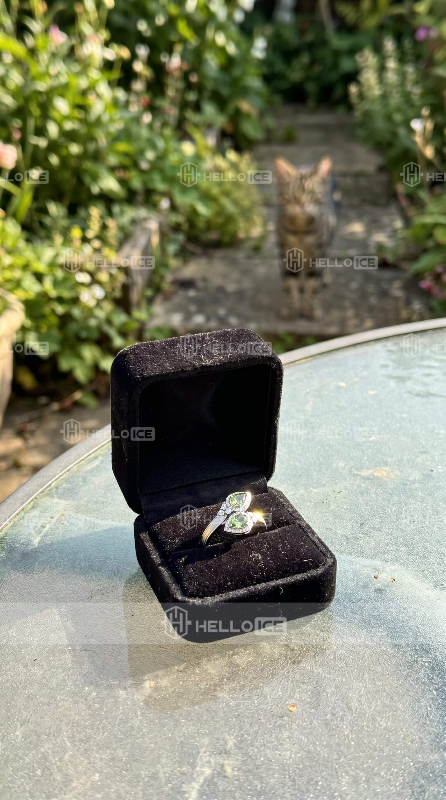 Helloice Review Image