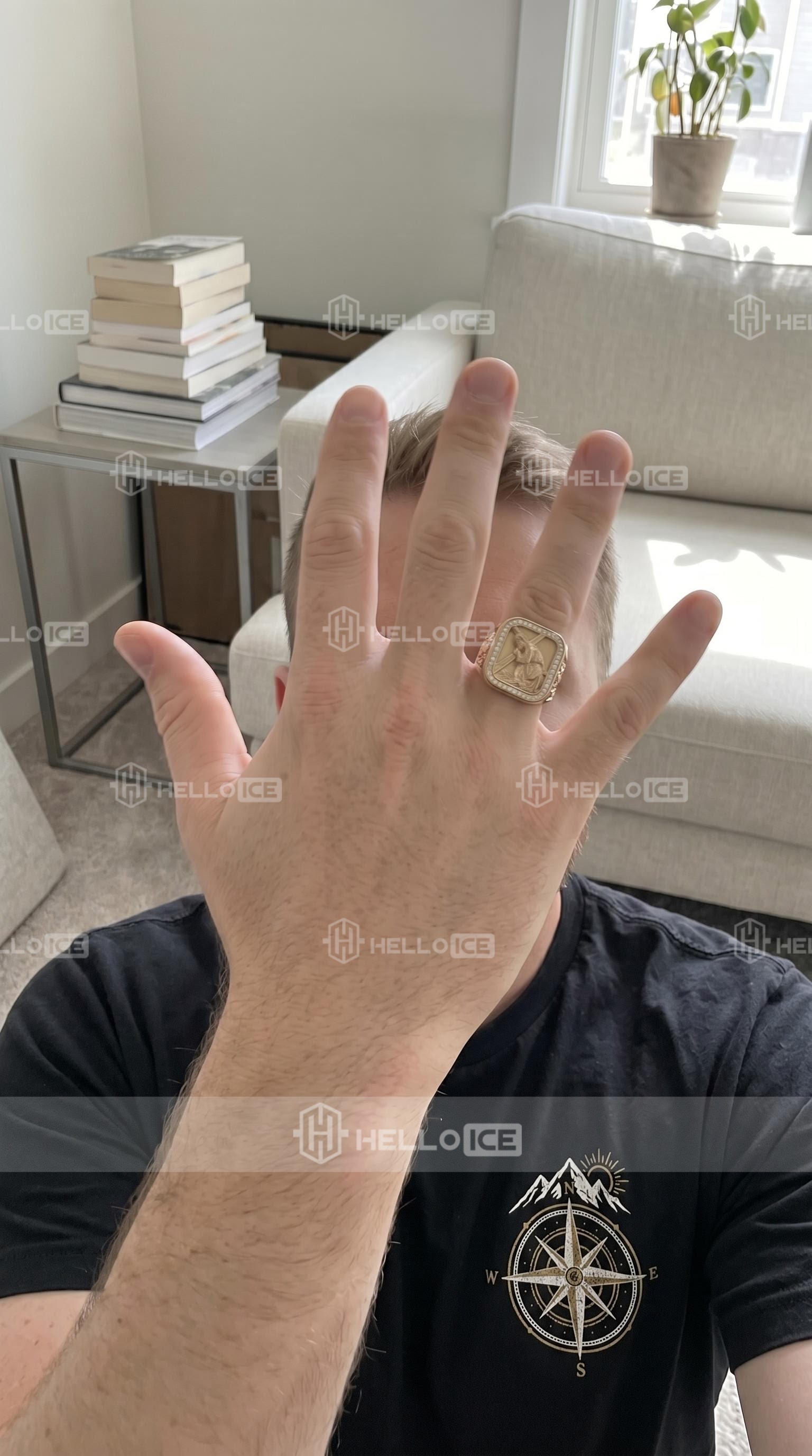Helloice Review Image