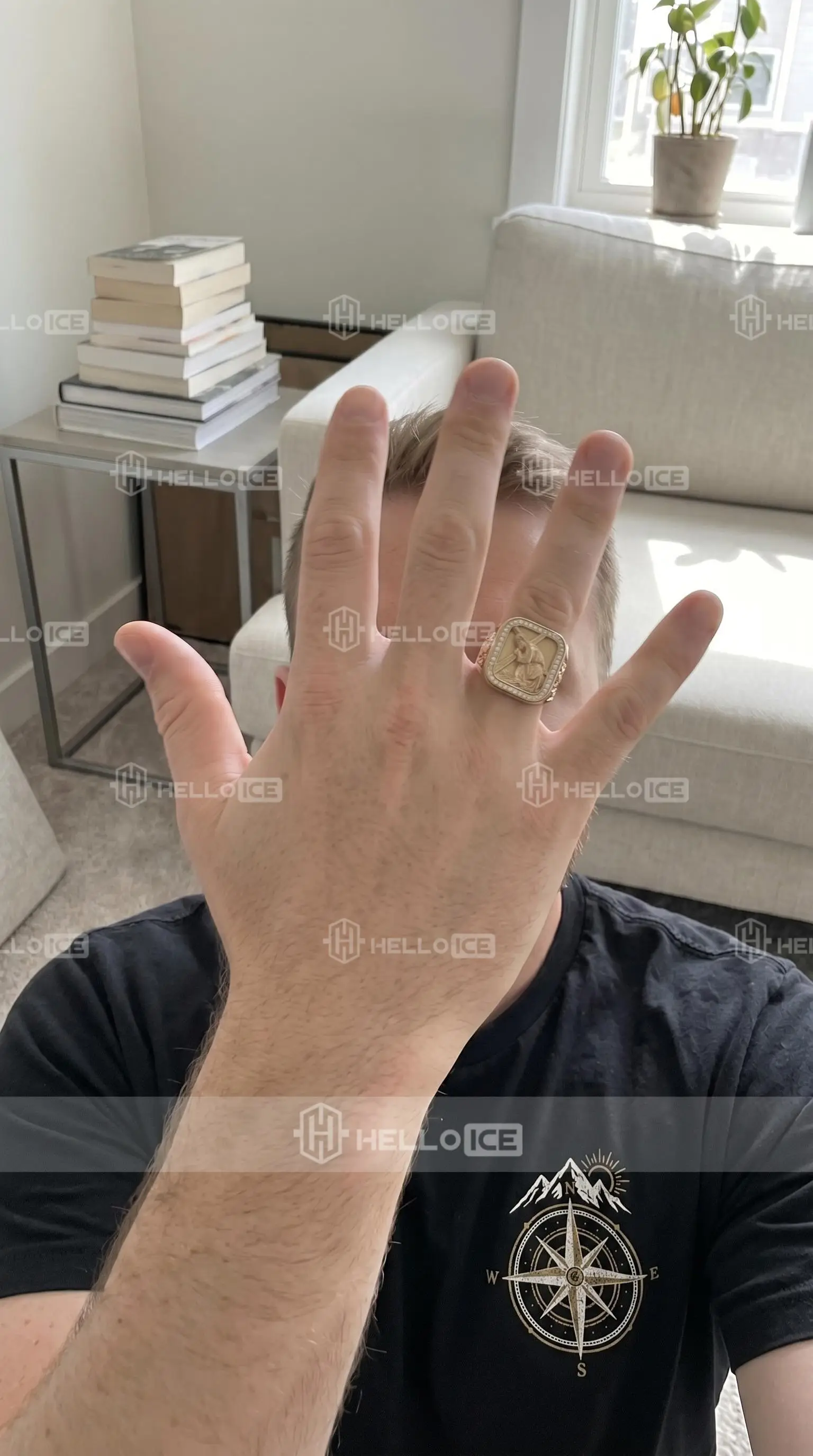 Helloice Review Image